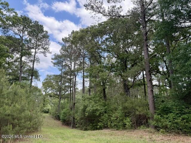 000 Old State Line Road Property Photo 5