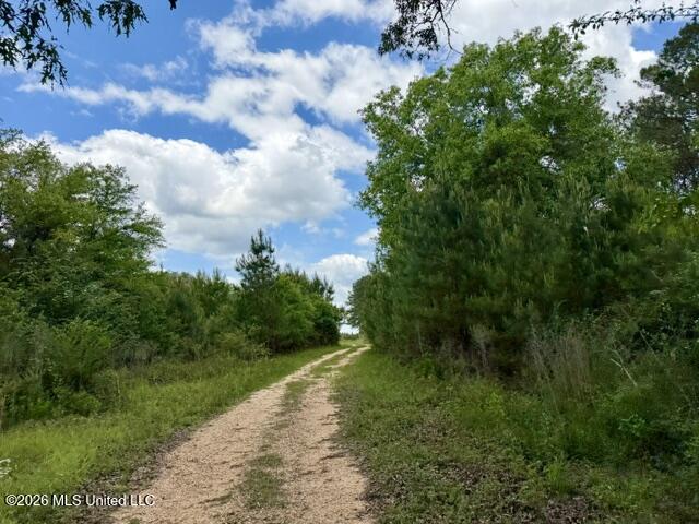 000 Old State Line Road Property Photo 8