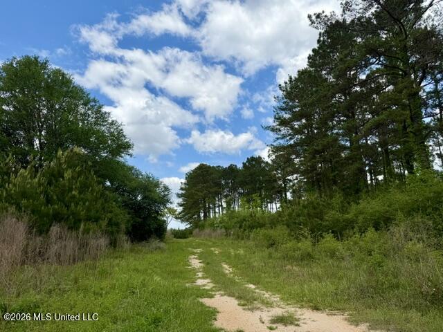 000 Old State Line Road Property Photo 9