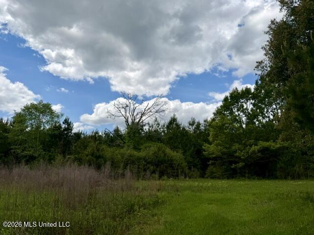 000 Old State Line Road Property Photo 10