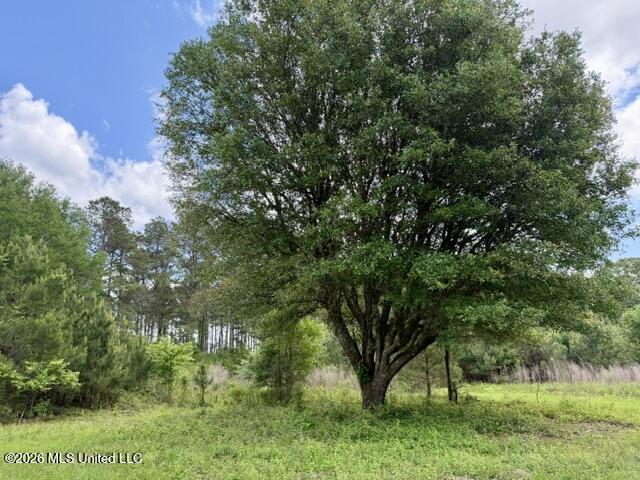 000 Old State Line Road Property Photo 13