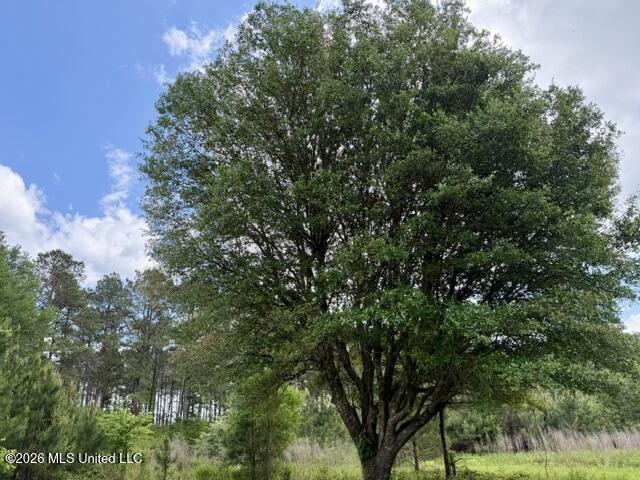 000 Old State Line Road Property Photo 14