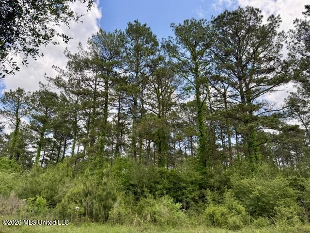 000 Old State Line Road Property Photo 15