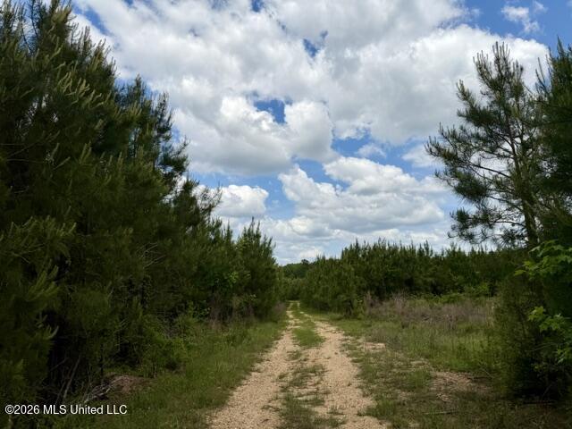 000 Old State Line Road Property Photo 16