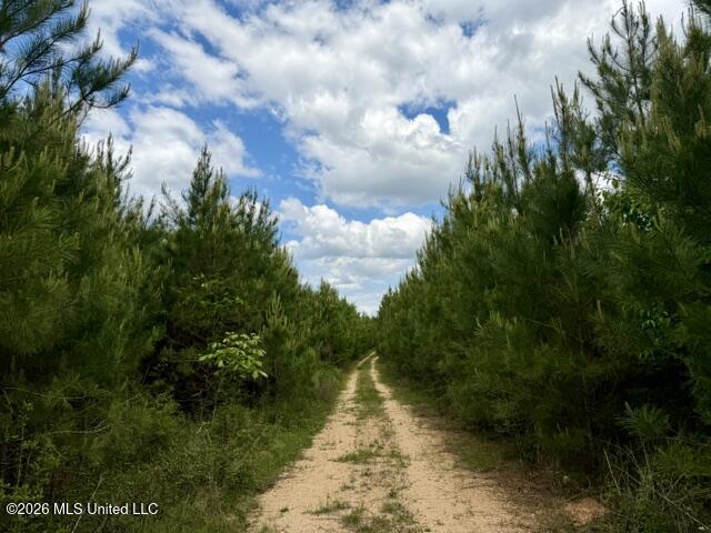 000 Old State Line Road Property Photo 17