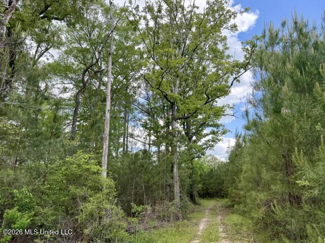 000 Old State Line Road Property Photo 18