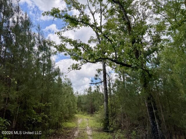 000 Old State Line Road Property Photo 19