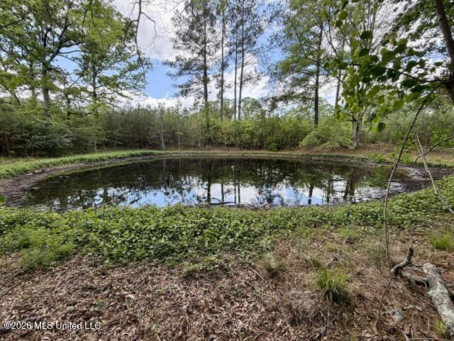 000 Old State Line Road Property Photo 20