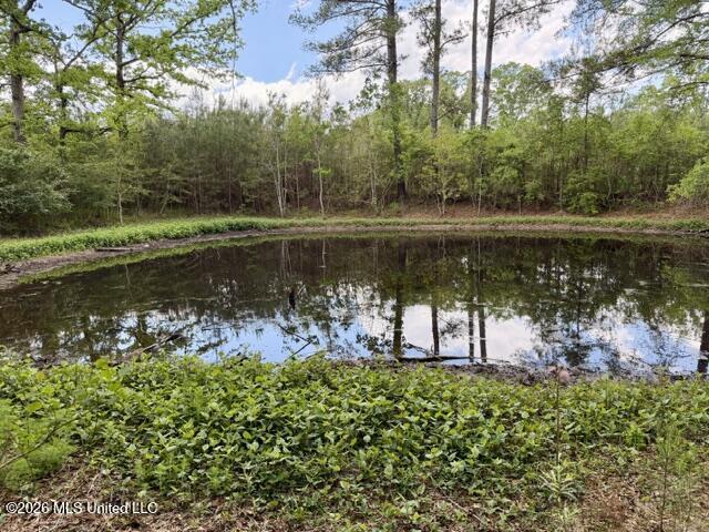 000 Old State Line Road Property Photo 21