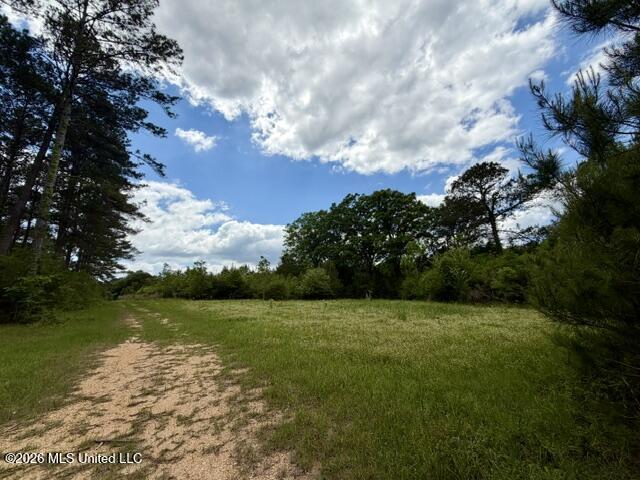 000 Old State Line Road Property Photo 22