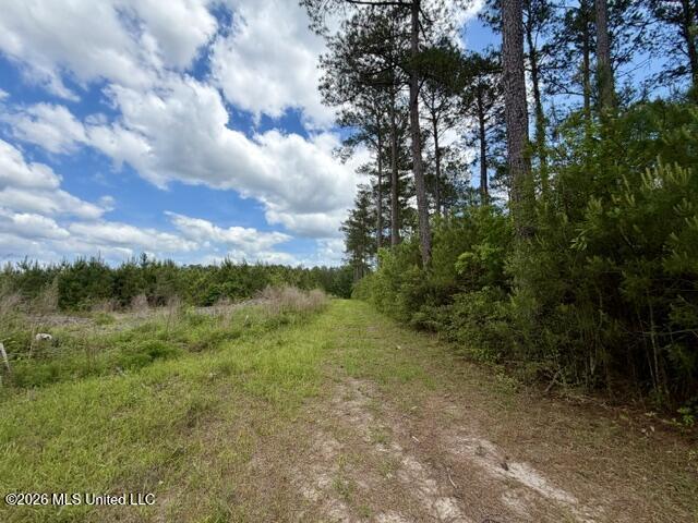 000 Old State Line Road Property Photo 23