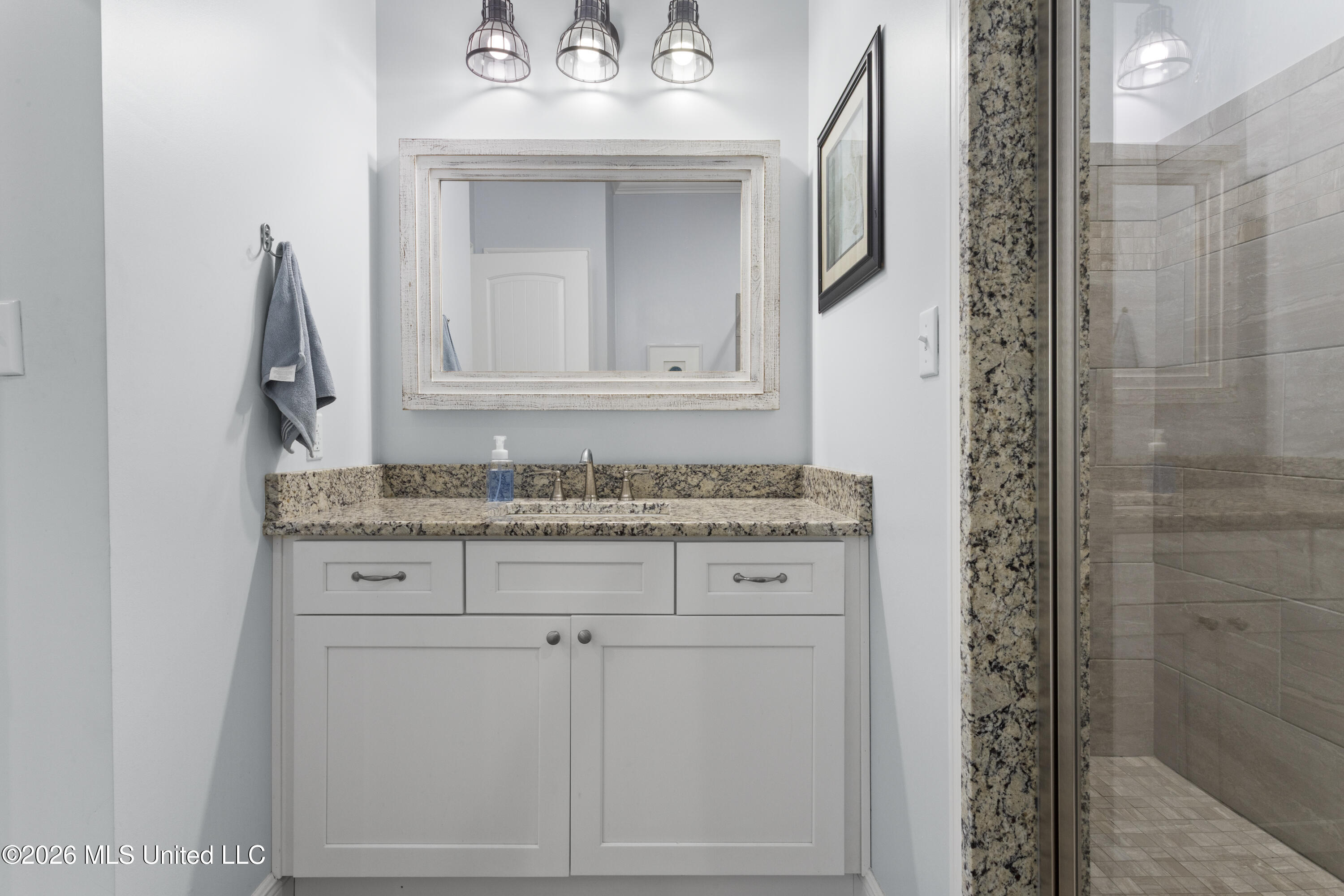 421 Carroll Avenue Property Photo 18