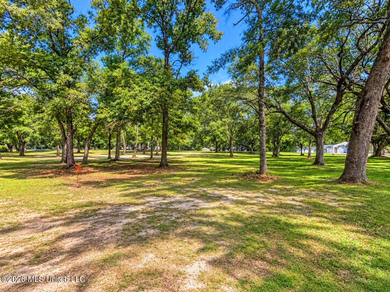 19009 Highway 613 Property Photo 54