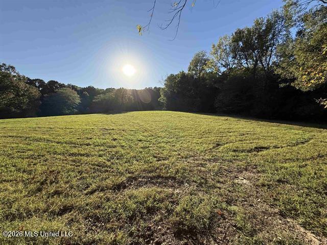 9171 Collierville Arlington Road Property Photo 3