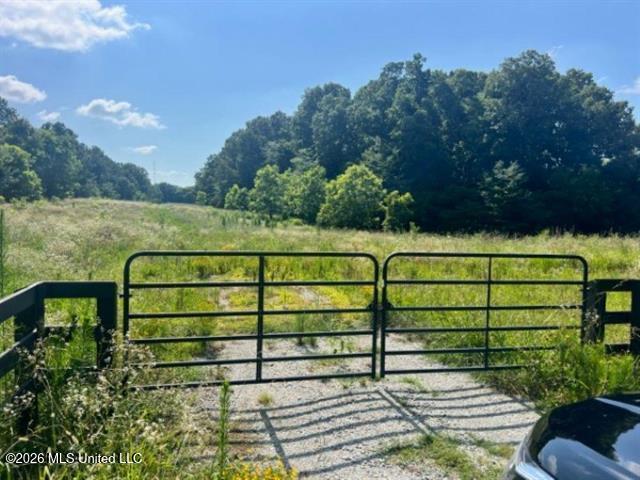 9171 Collierville Arlington Road Property Photo 4