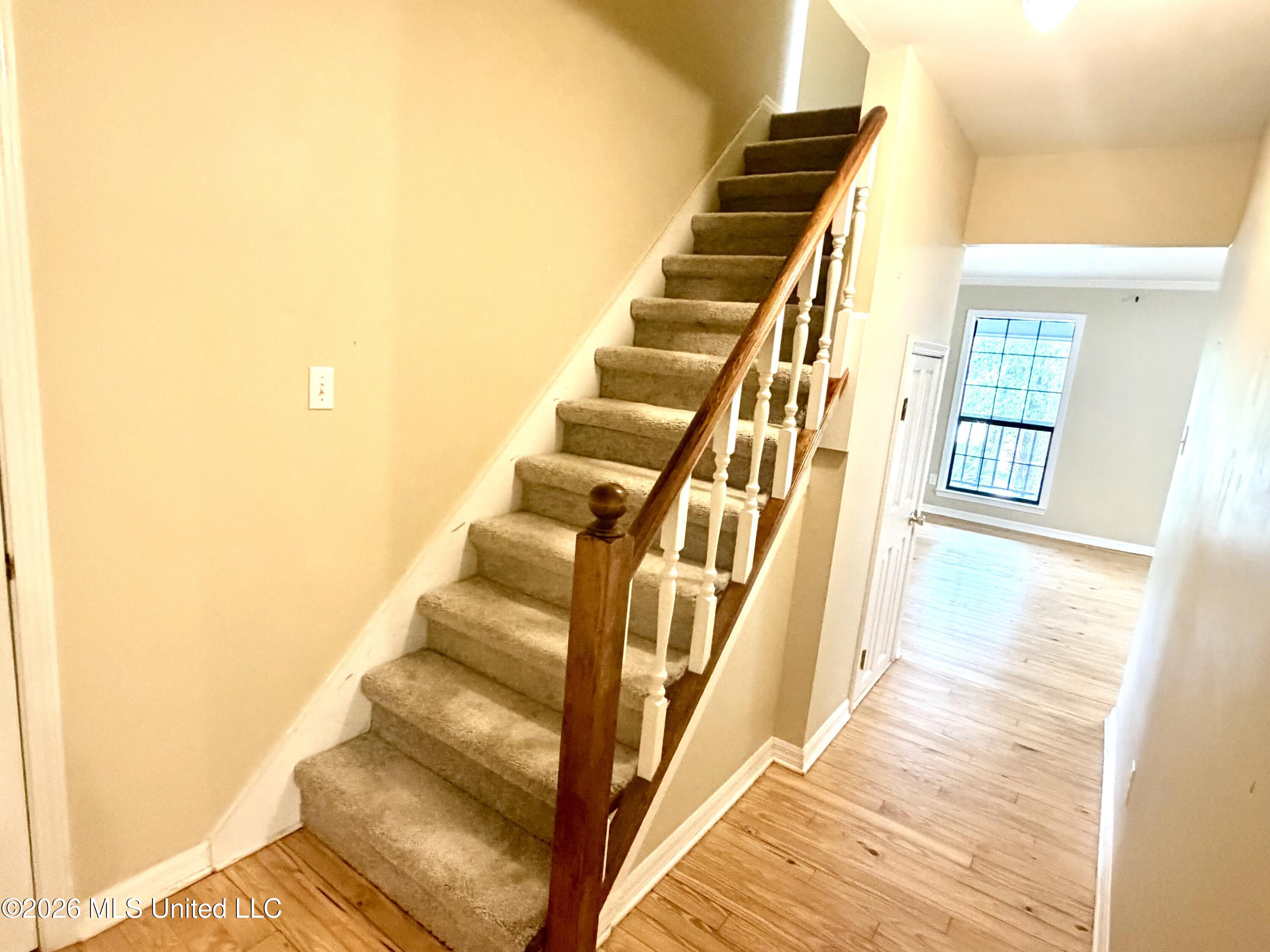 1523 Albacore Drive Property Photo 32