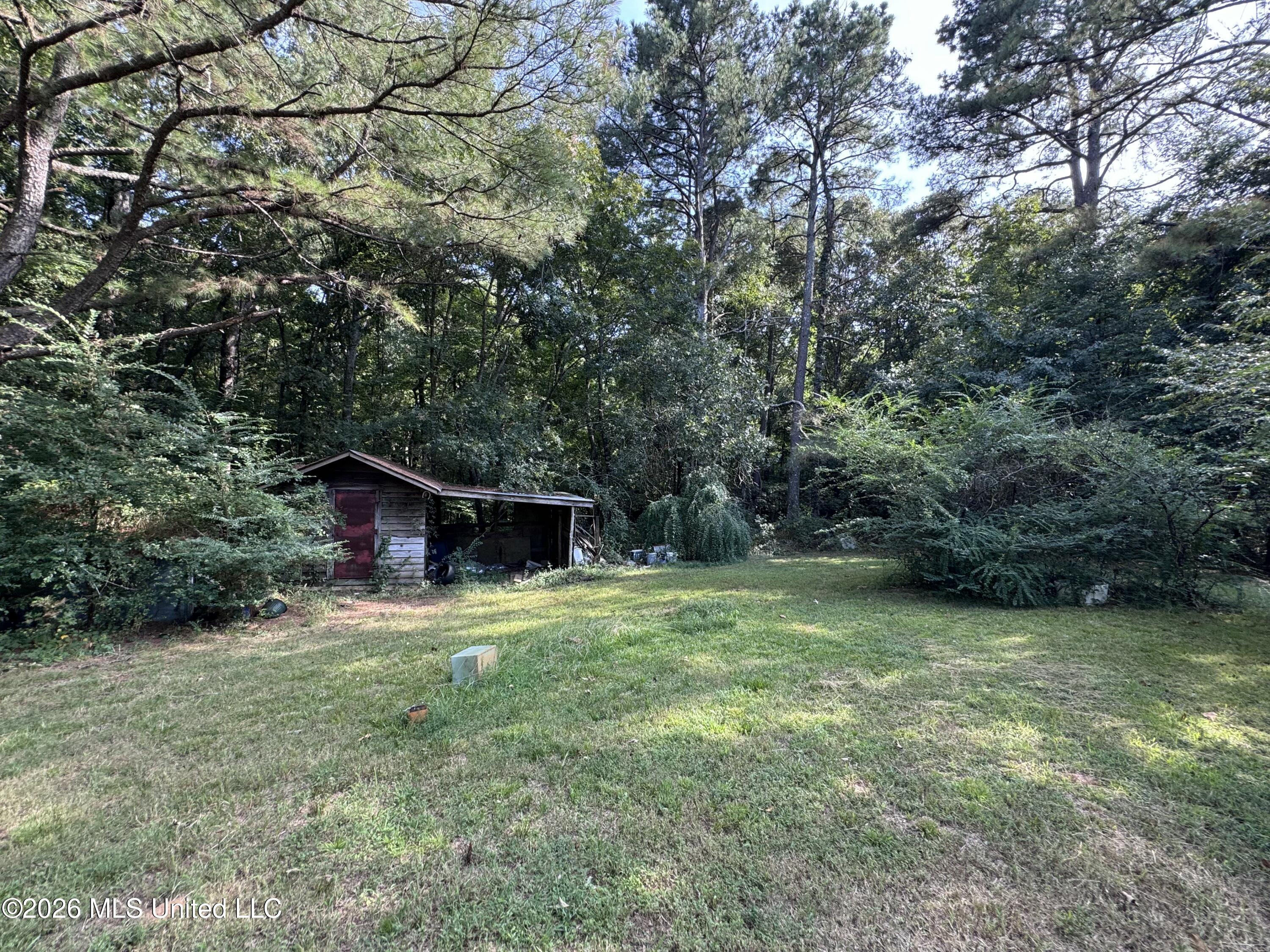 323 Burton Road Property Photo 11