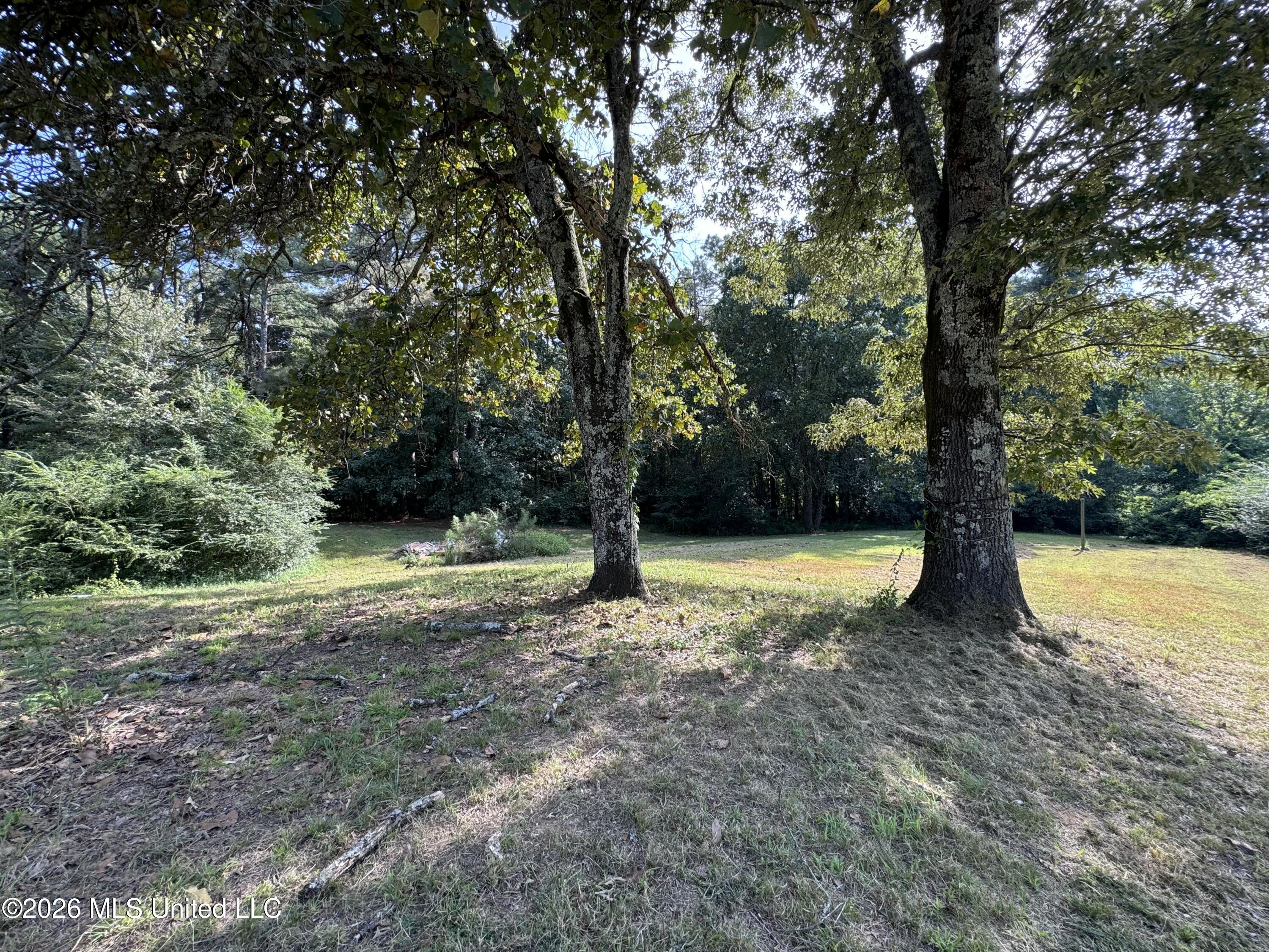 323 Burton Road Property Photo 12