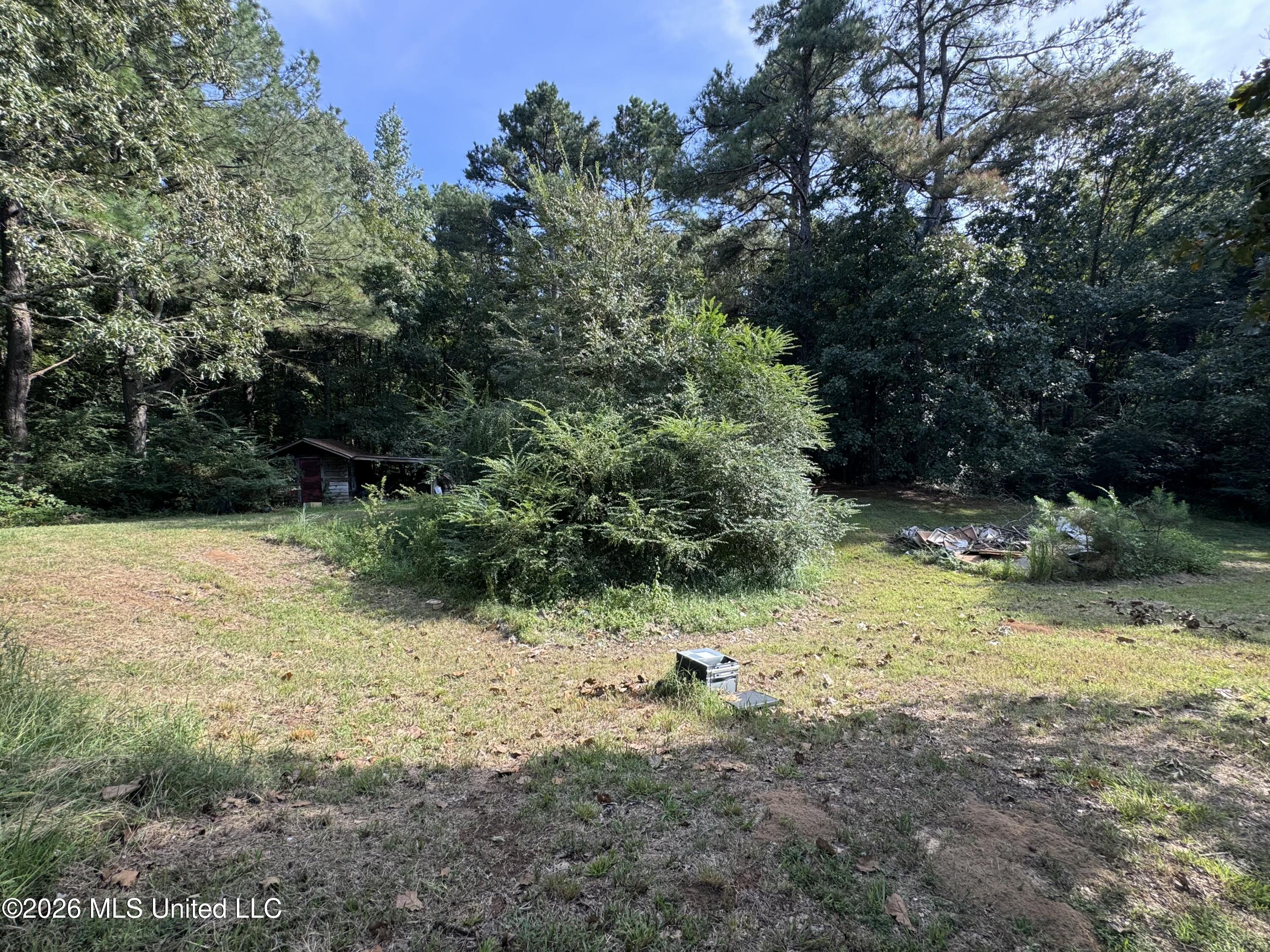 323 Burton Road Property Photo 14