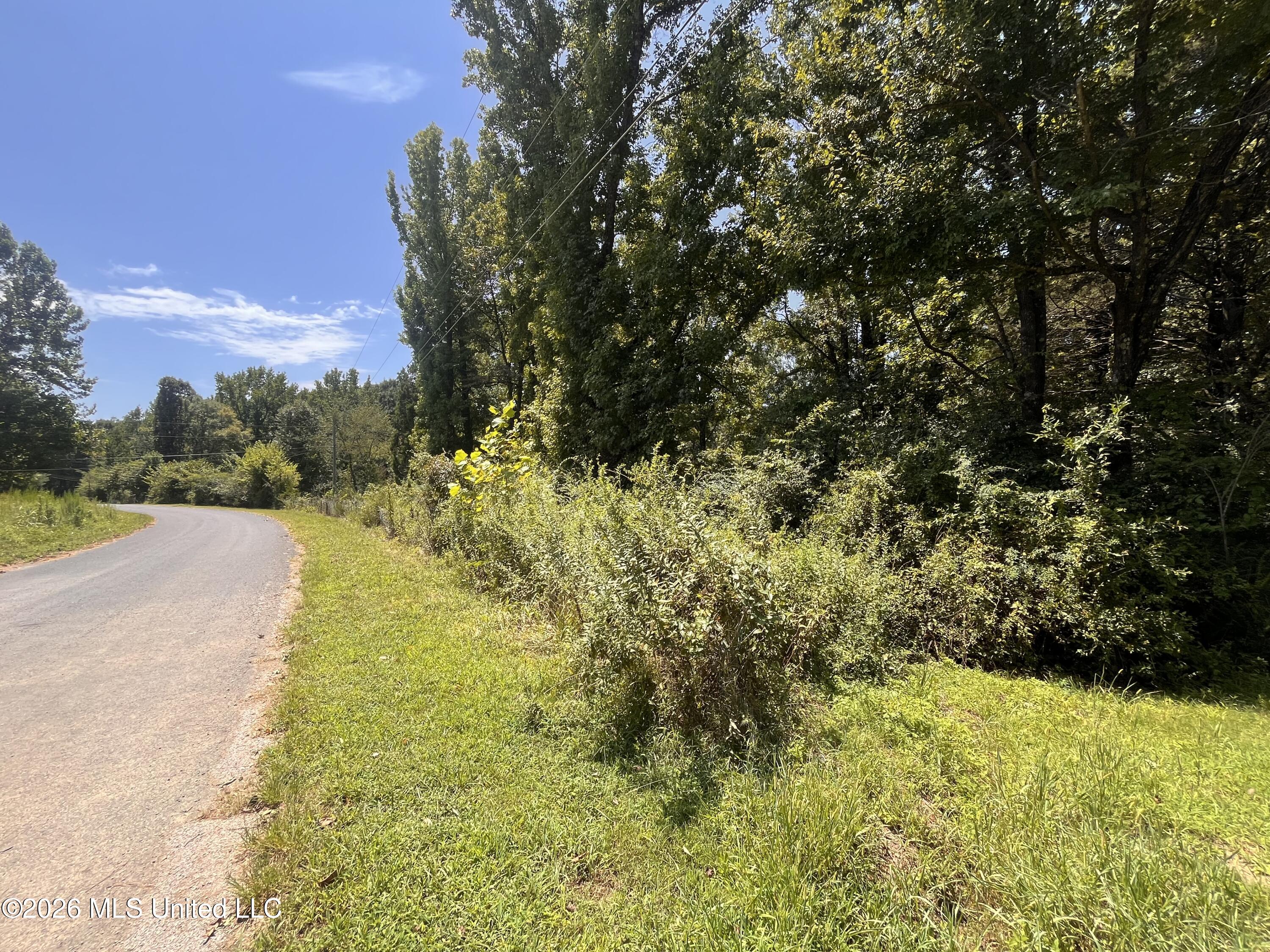 77 Lenzi Road Property Photo 1