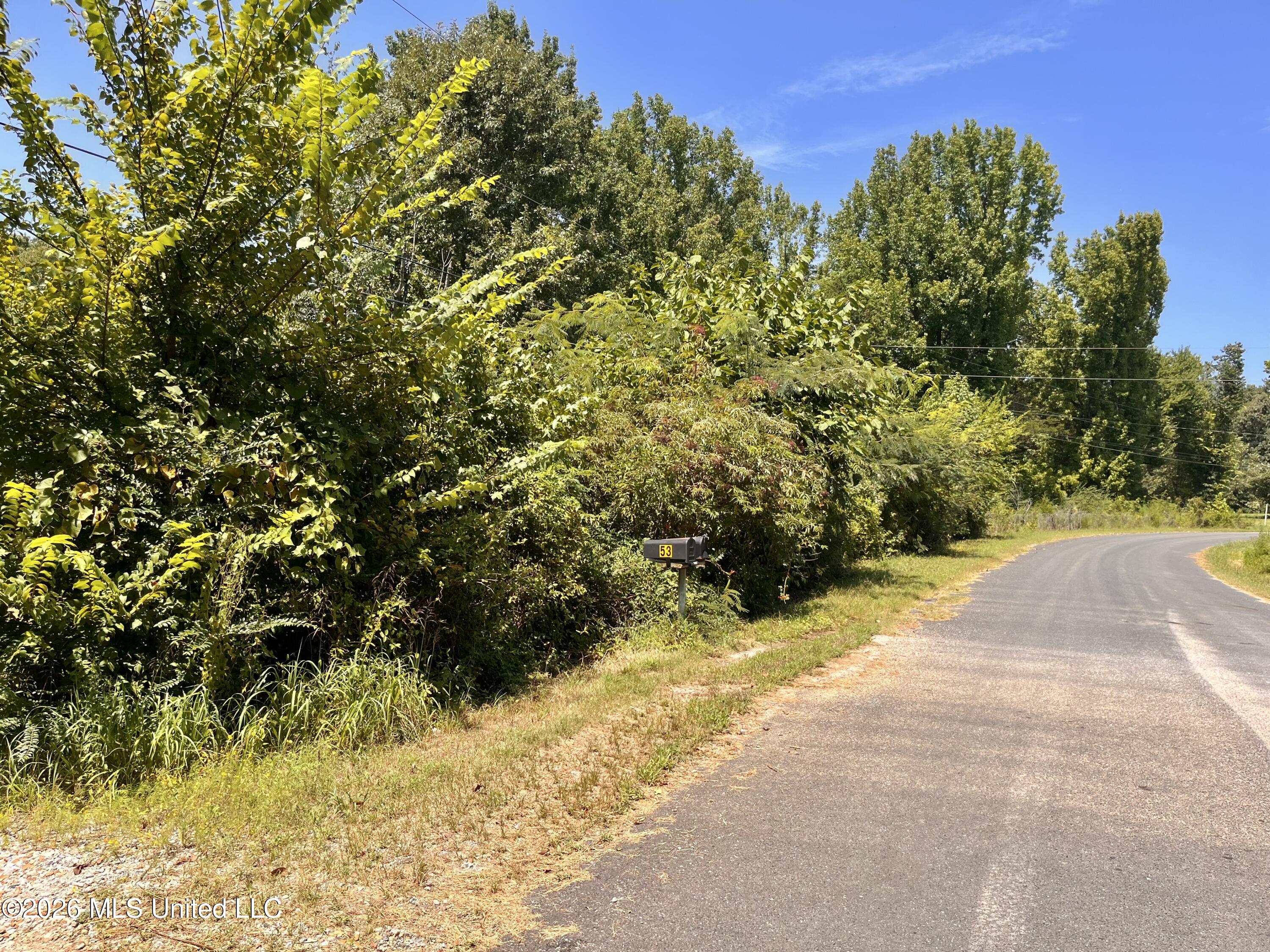 77 Lenzi Road Property Photo 2