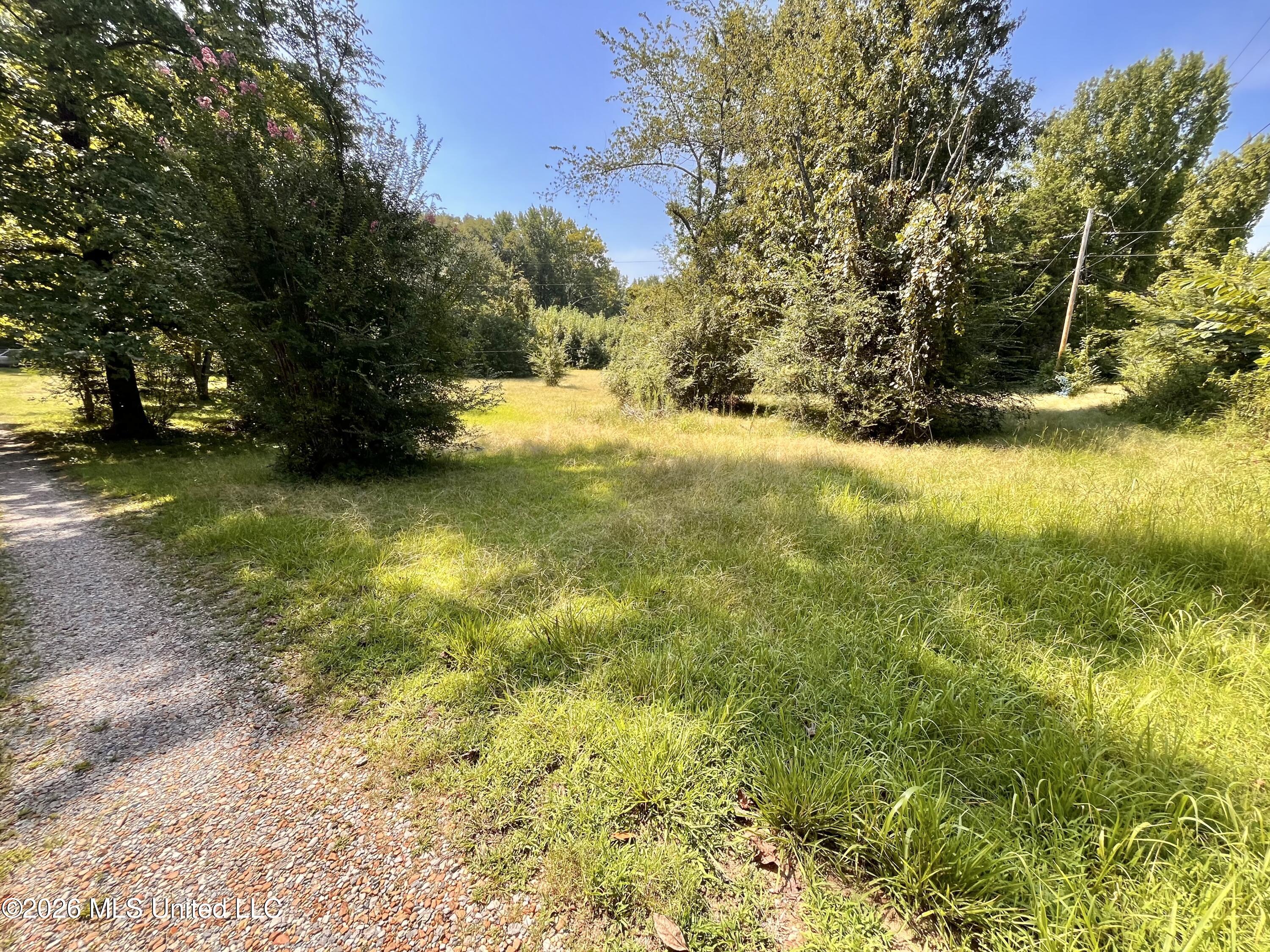 77 Lenzi Road Property Photo 3