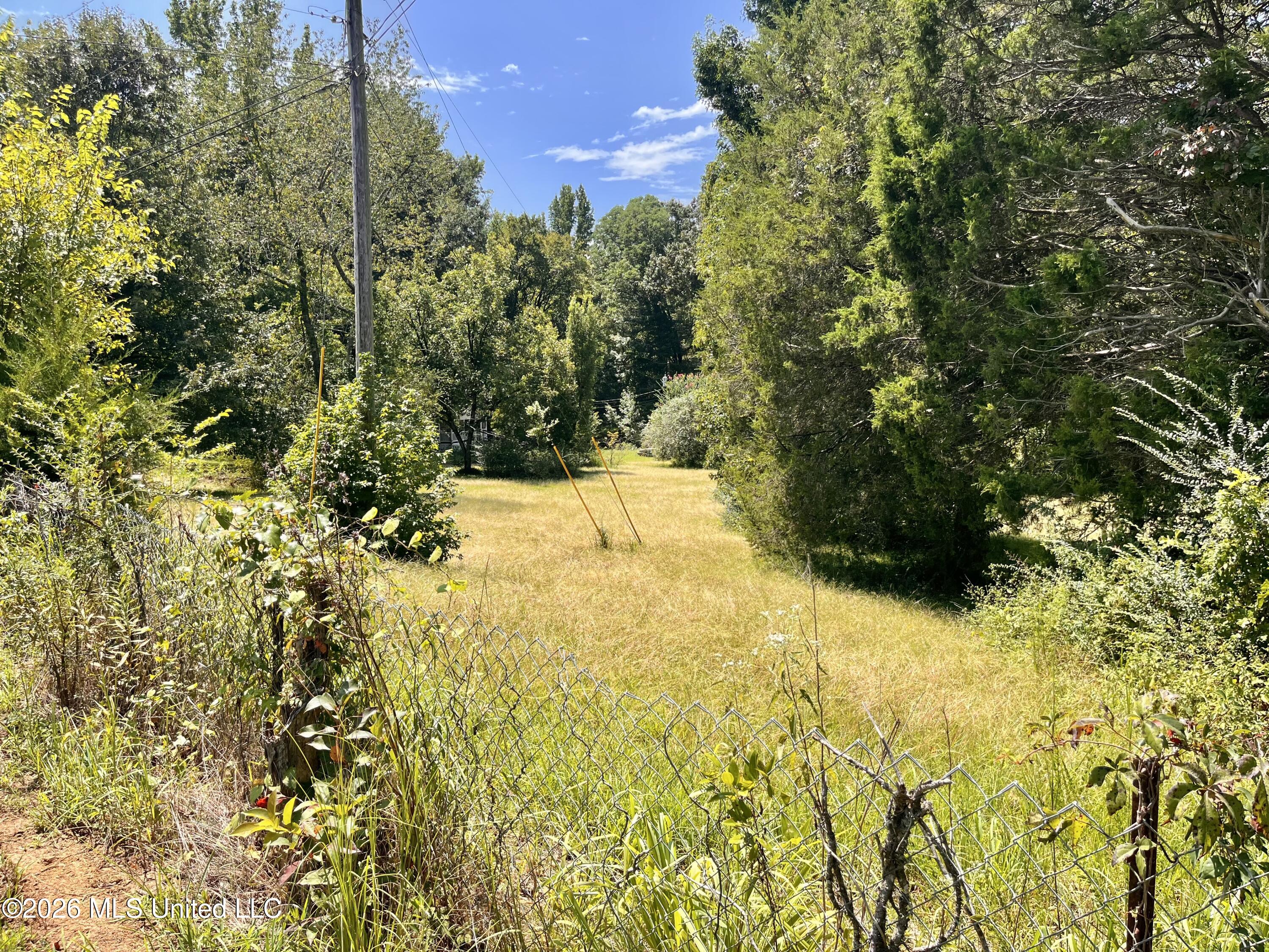 77 Lenzi Road Property Photo 4