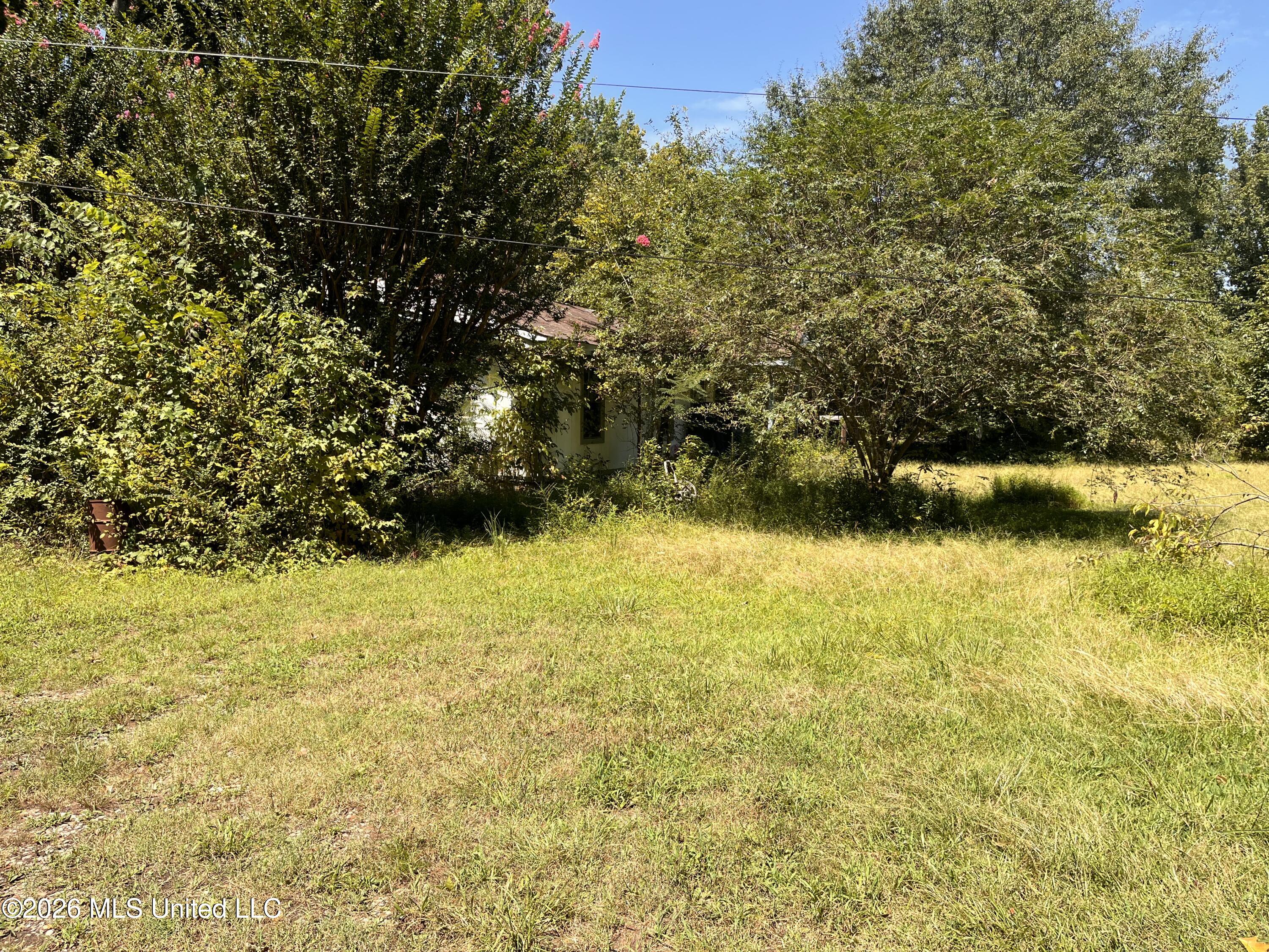 77 Lenzi Road Property Photo 5
