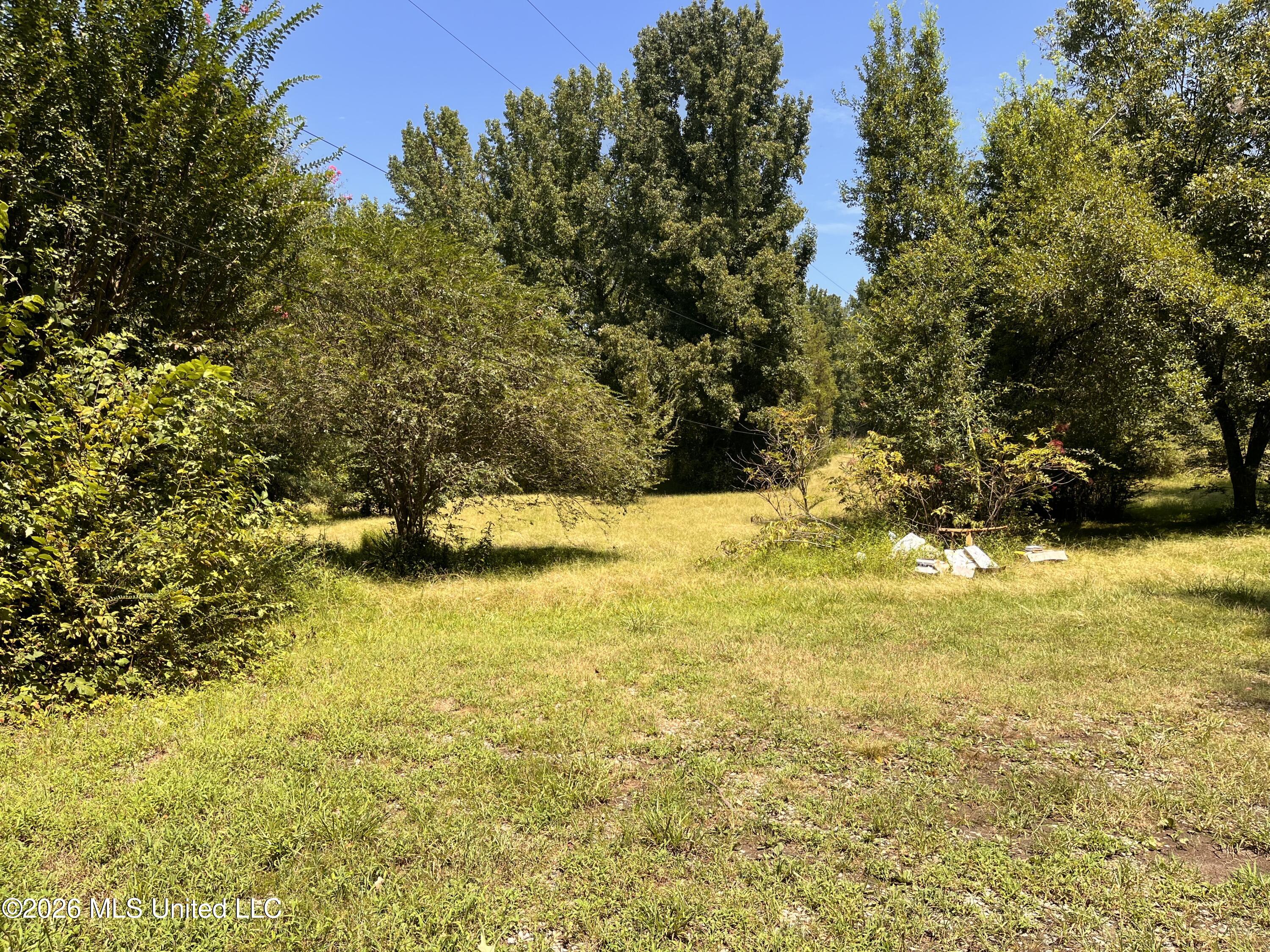 77 Lenzi Road Property Photo 6