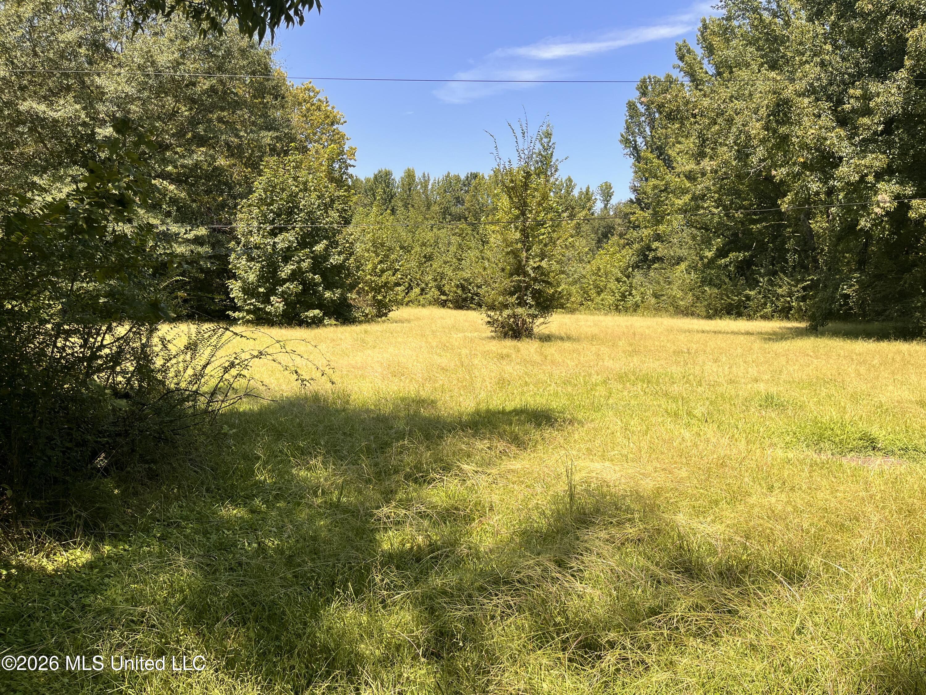 77 Lenzi Road Property Photo 7