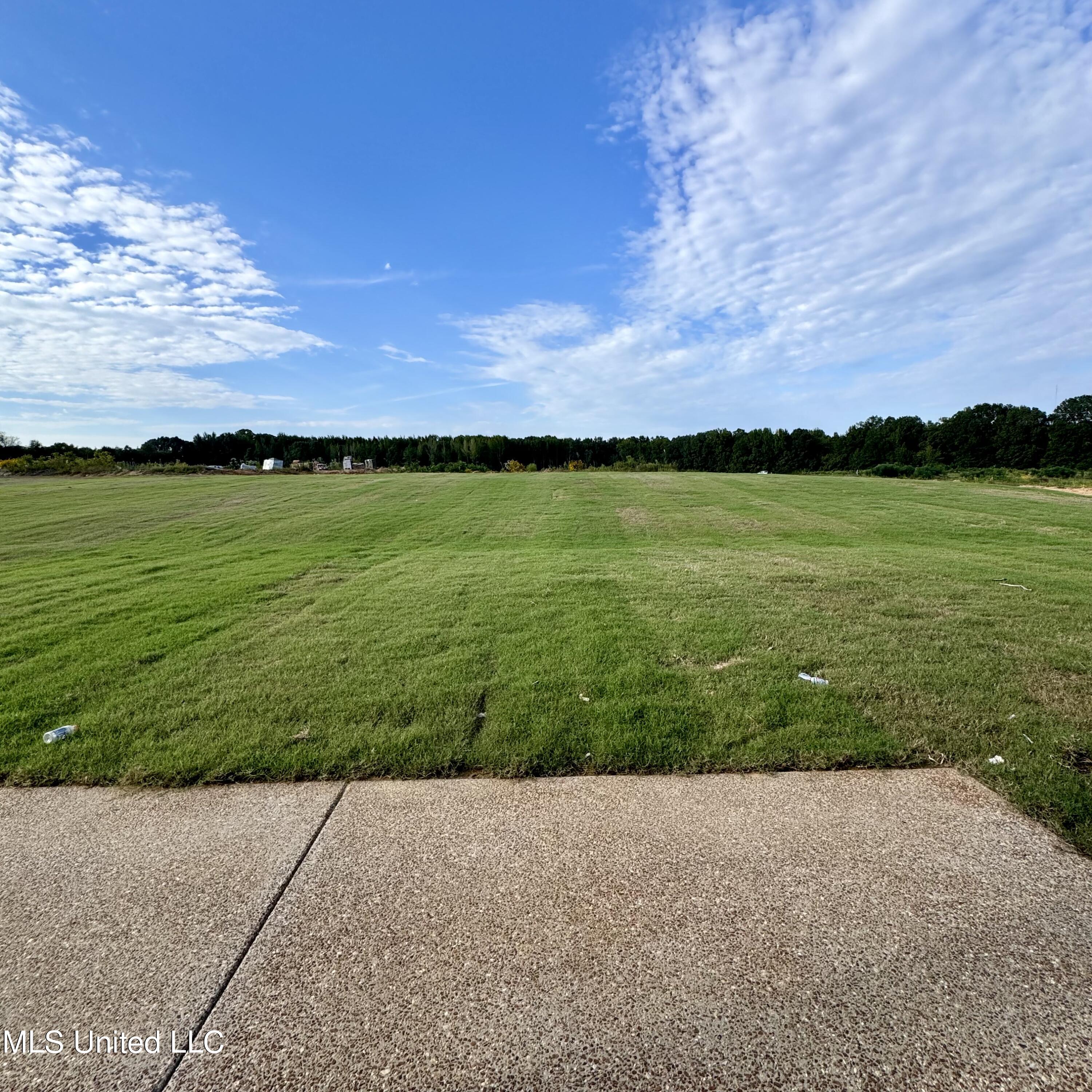 7650 Thomas Riley Street Property Photo 53