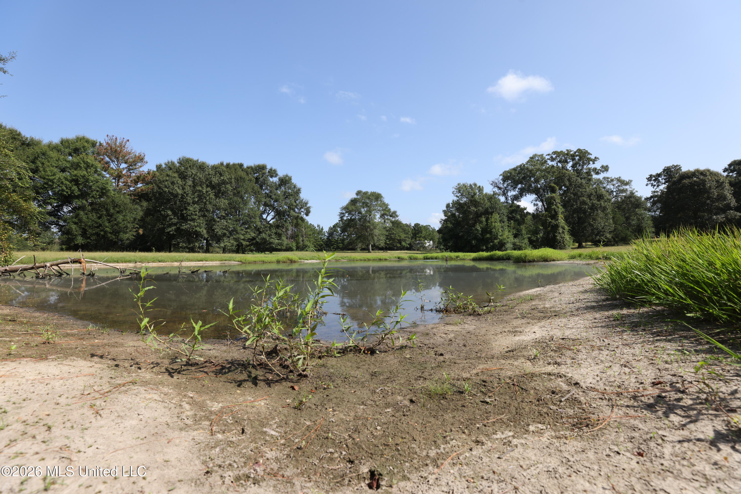 103 Harlan Davis Road Property Photo 49
