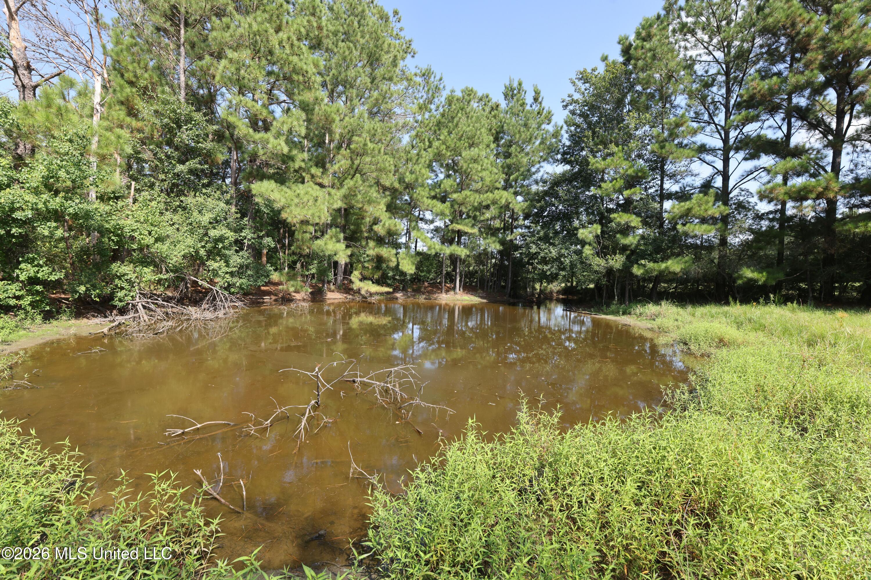 103 Harlan Davis Road Property Photo 50