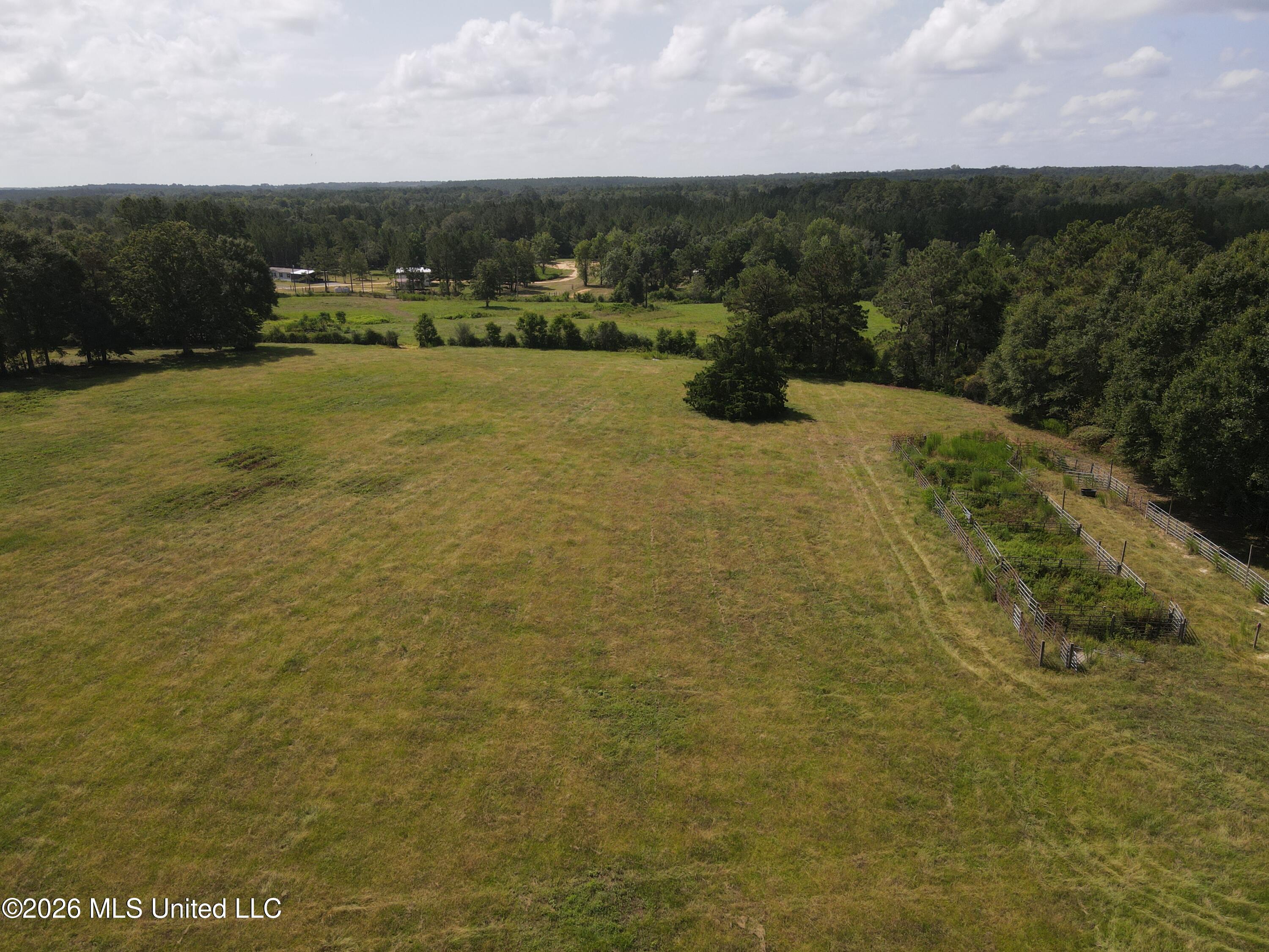 103 Harlan Davis Road Property Photo 90