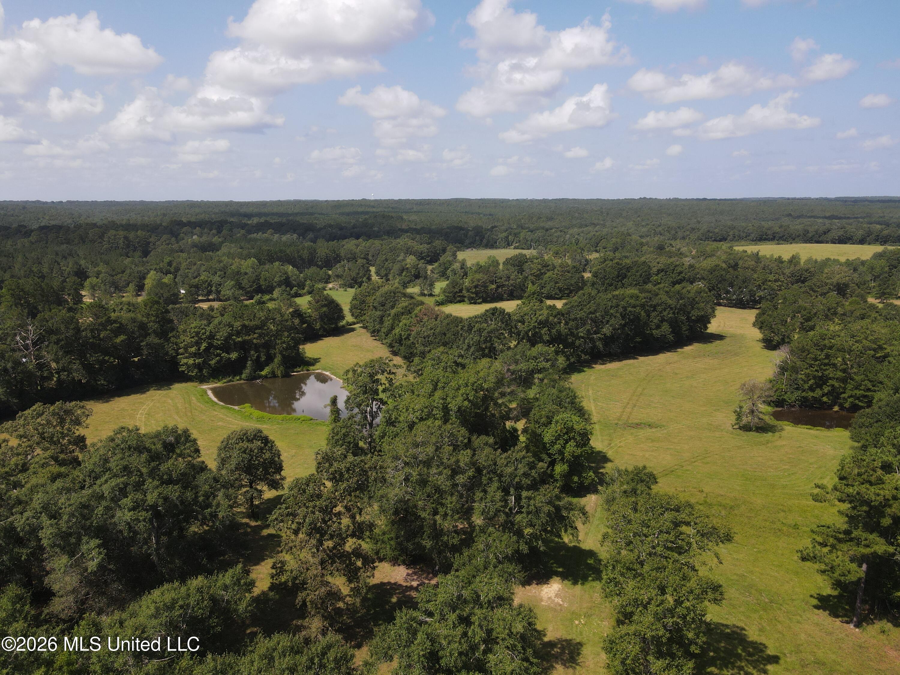 103 Harlan Davis Road Property Photo 91