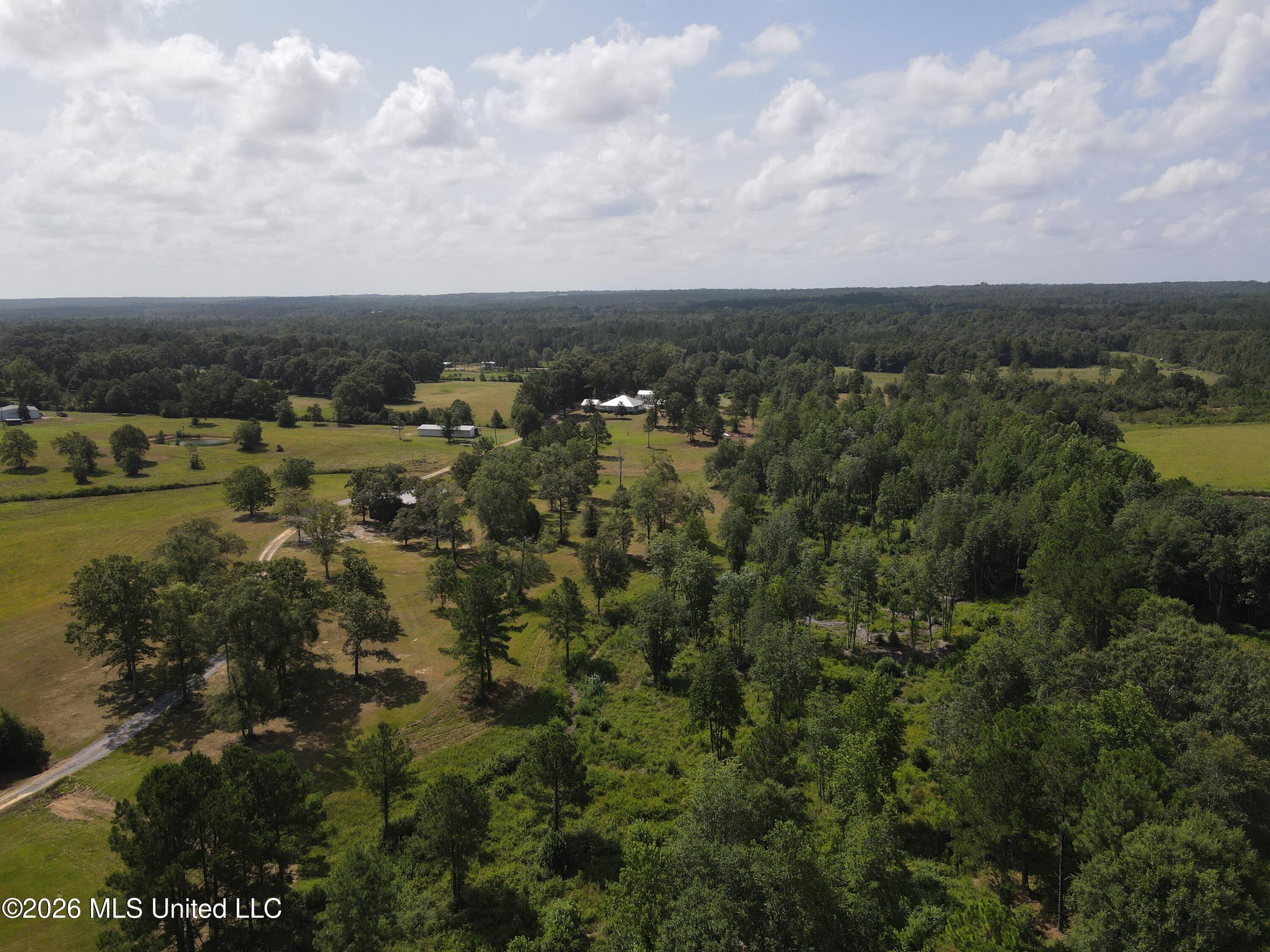 103 Harlan Davis Road Property Photo 95