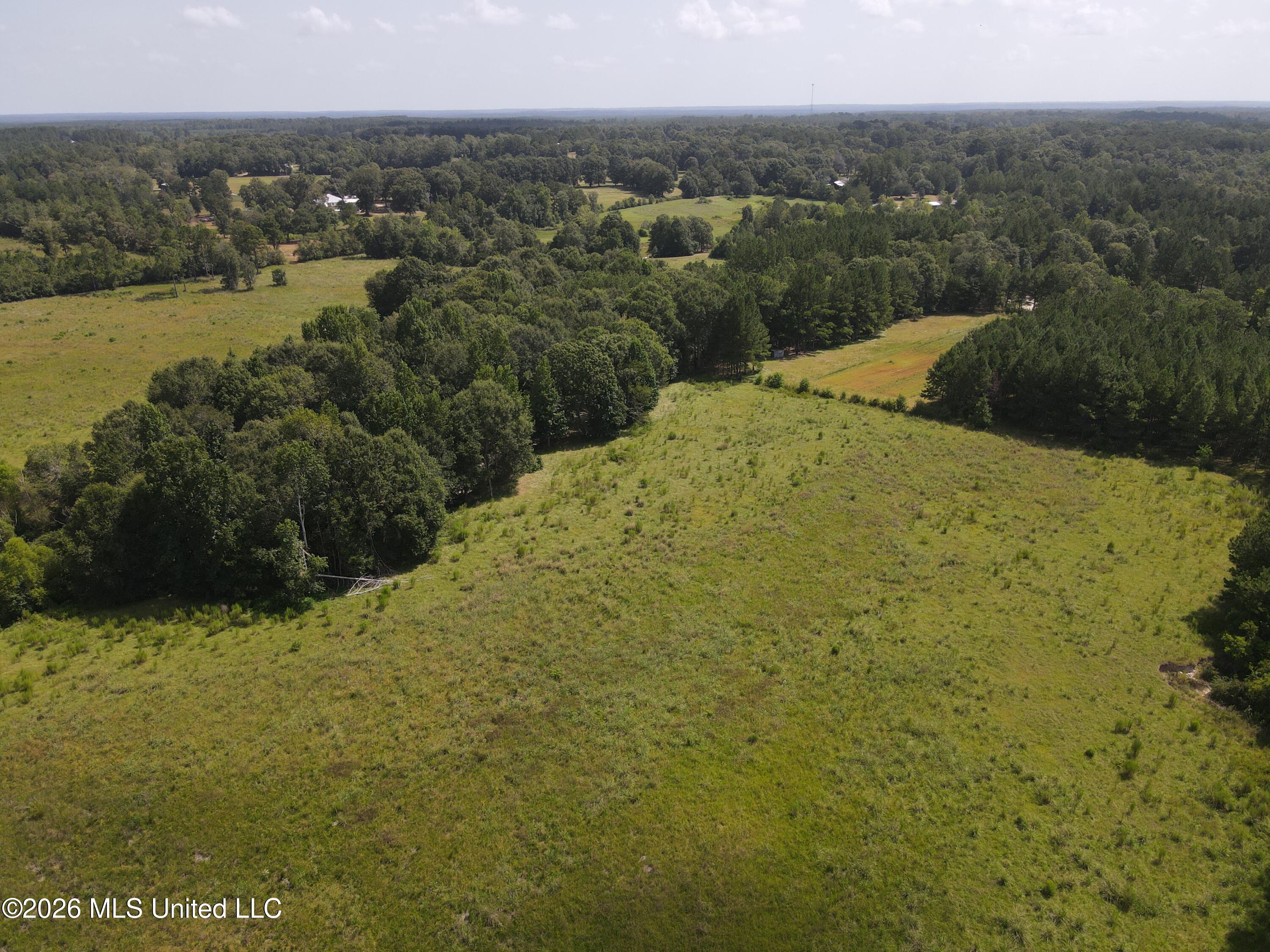 103 Harlan Davis Road Property Photo 97