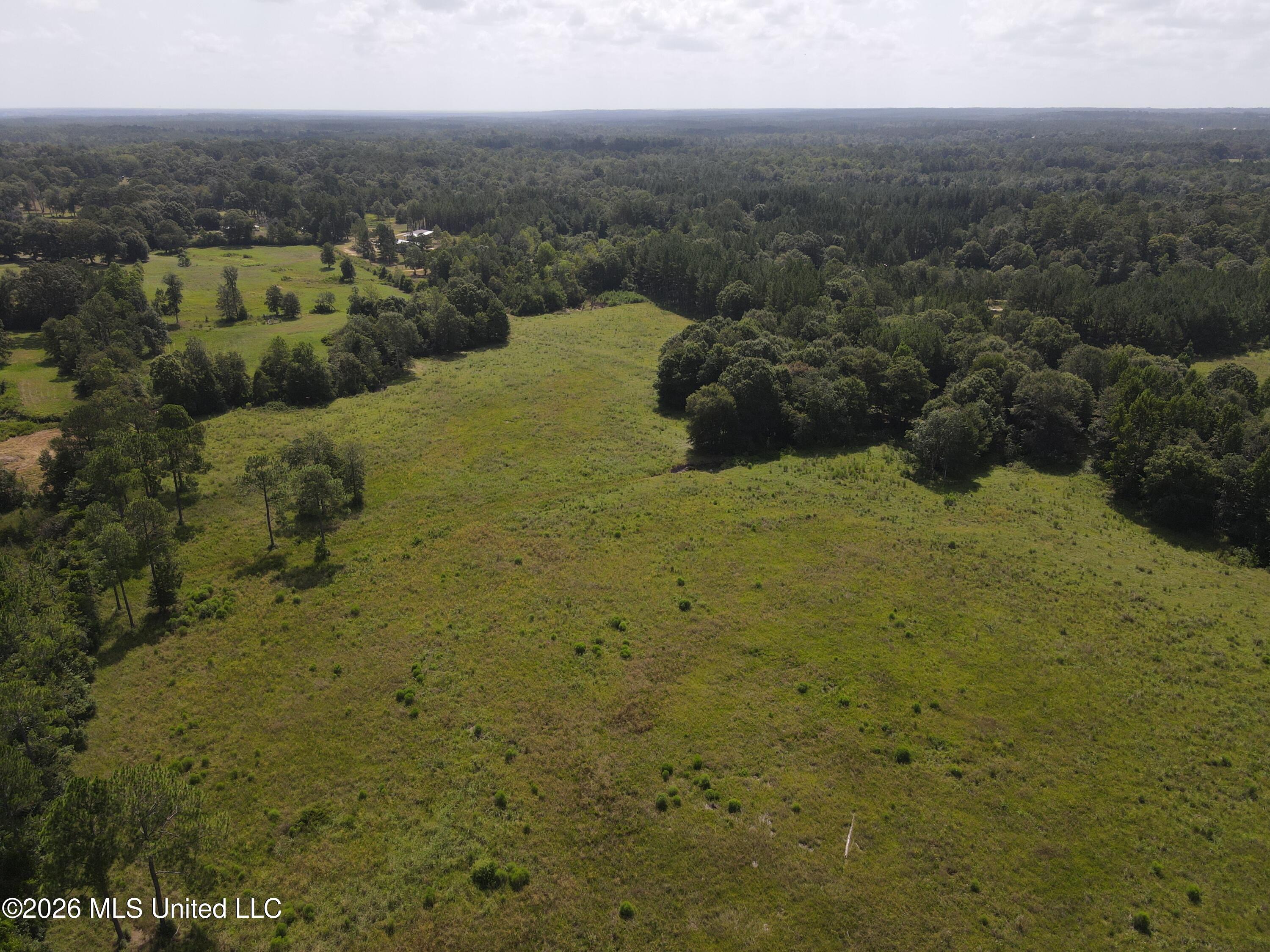 103 Harlan Davis Road Property Photo 98