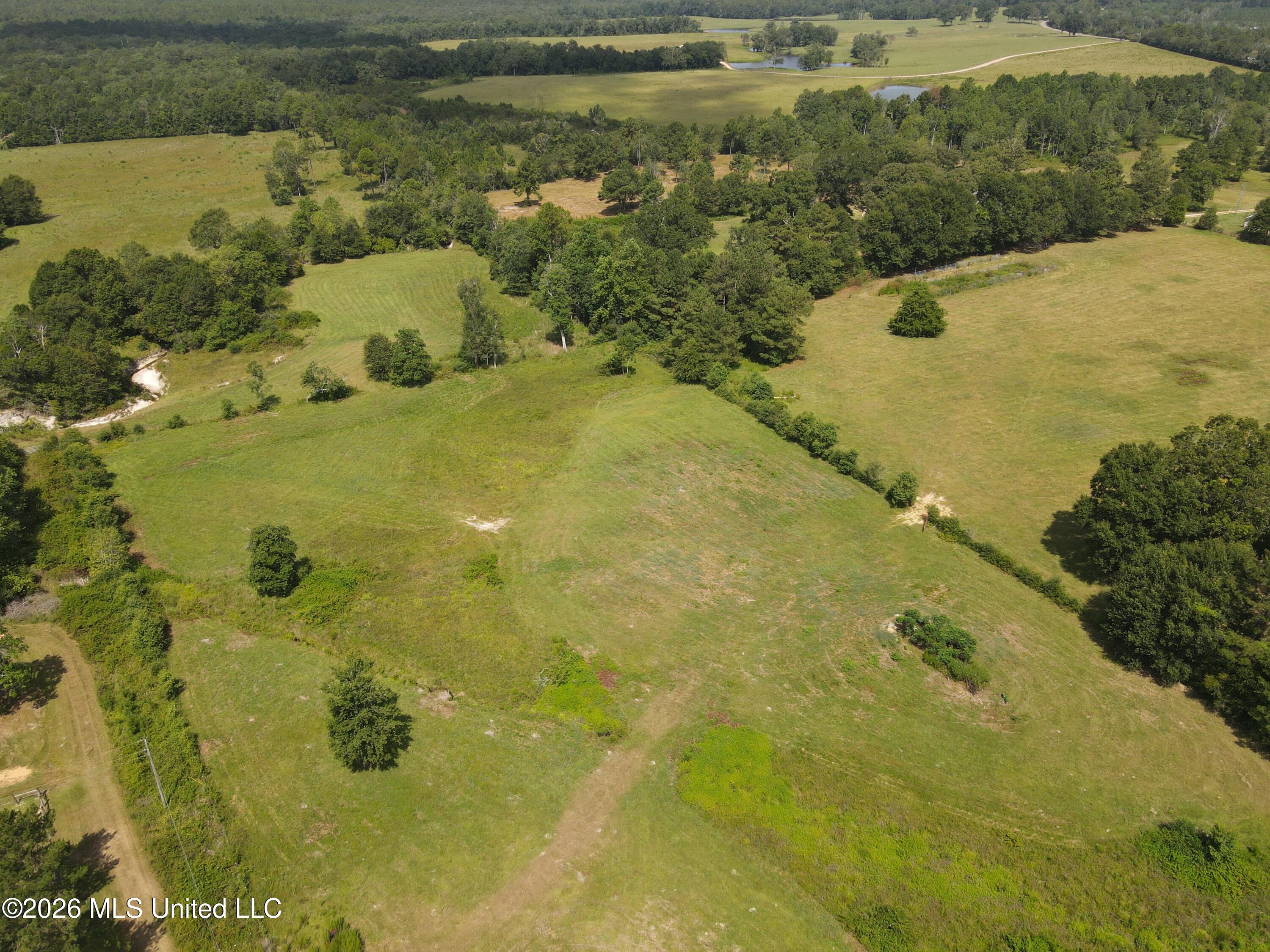 103 Harlan Davis Road Property Photo 99