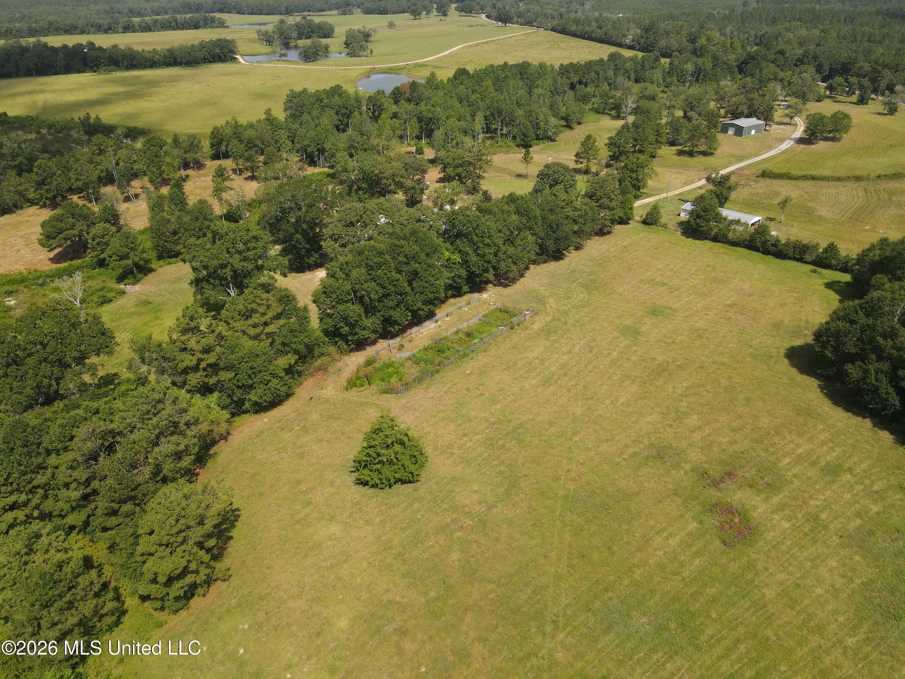 103 Harlan Davis Road Property Photo 100