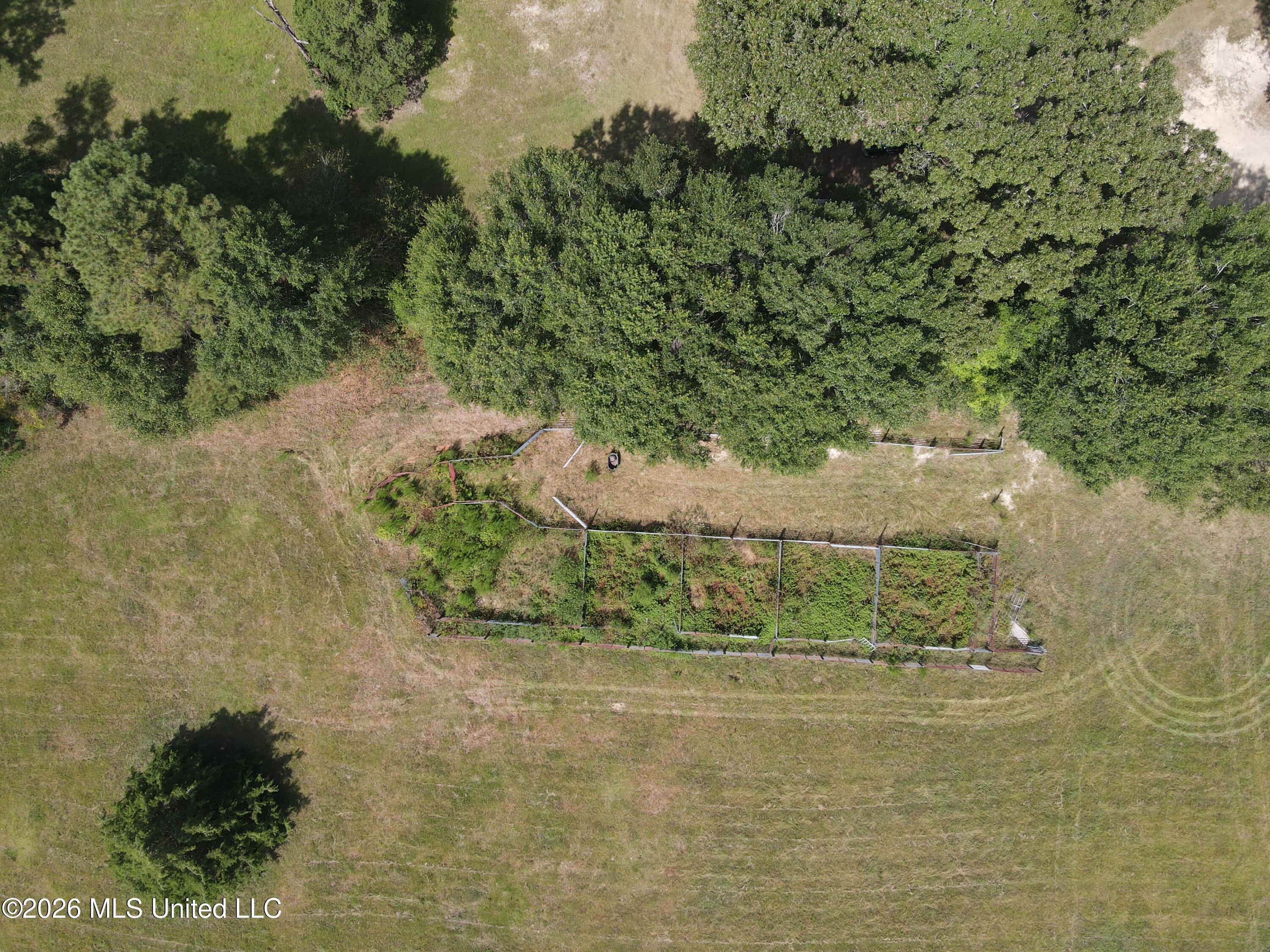 103 Harlan Davis Road Property Photo 101