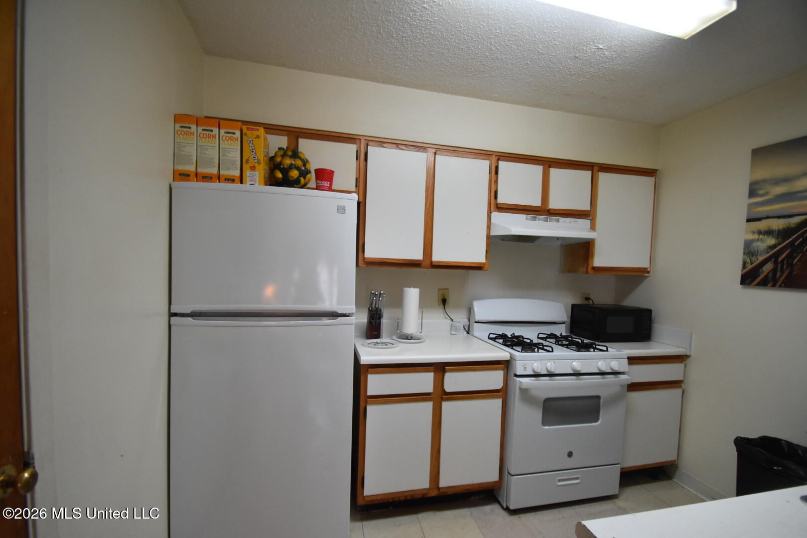 1300 Roosevelt Avenue Property Photo 7