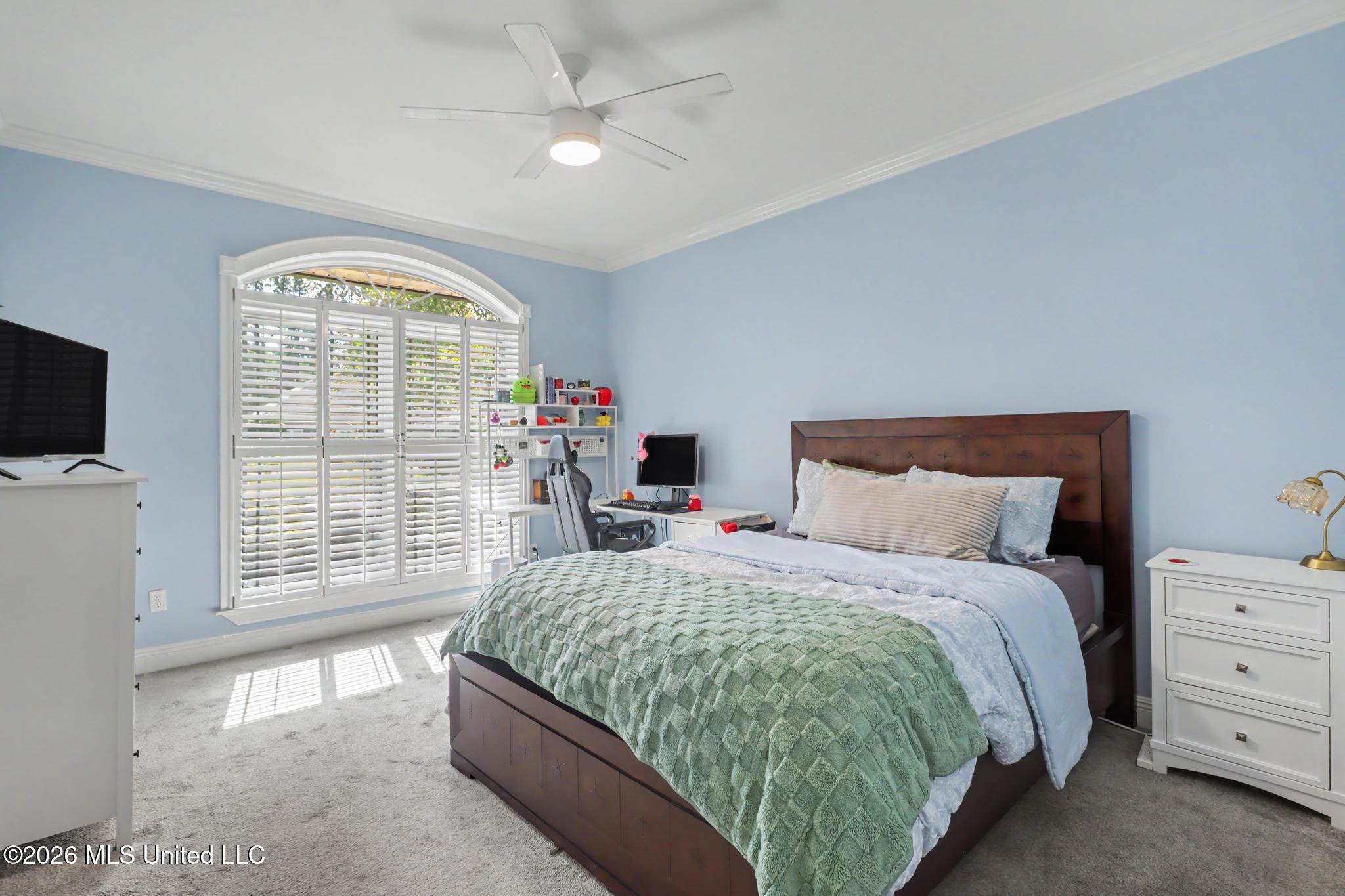 12236 Windance Drive Property Photo 19