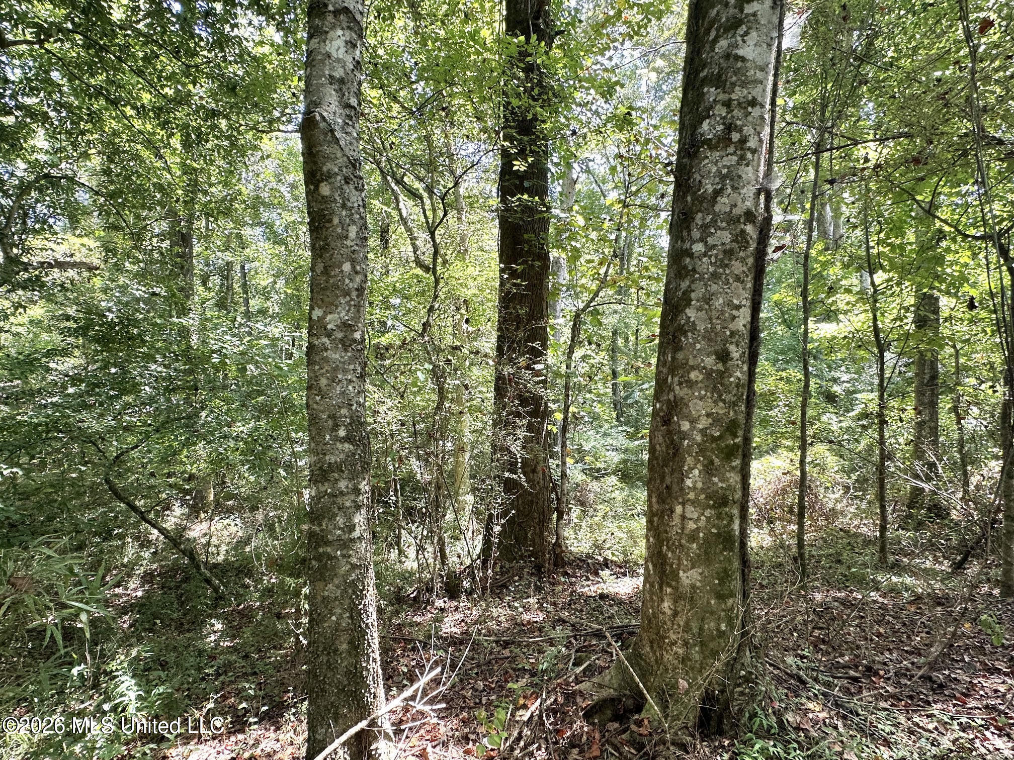 3 County Road 24 Property Photo 2