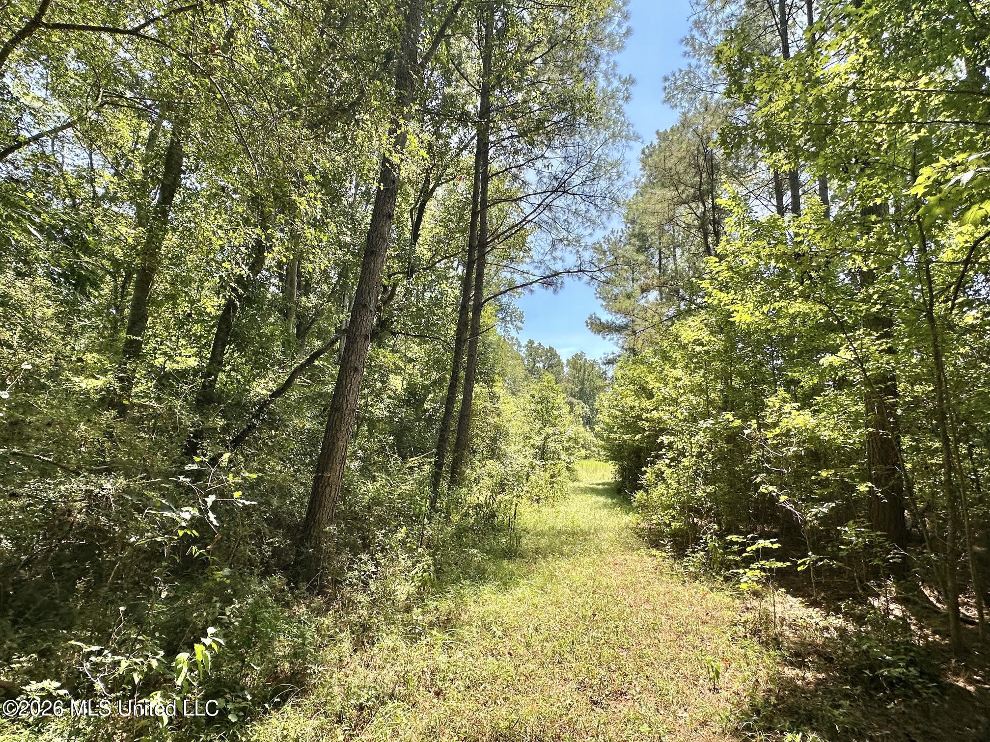 3 County Road 24 Property Photo 3