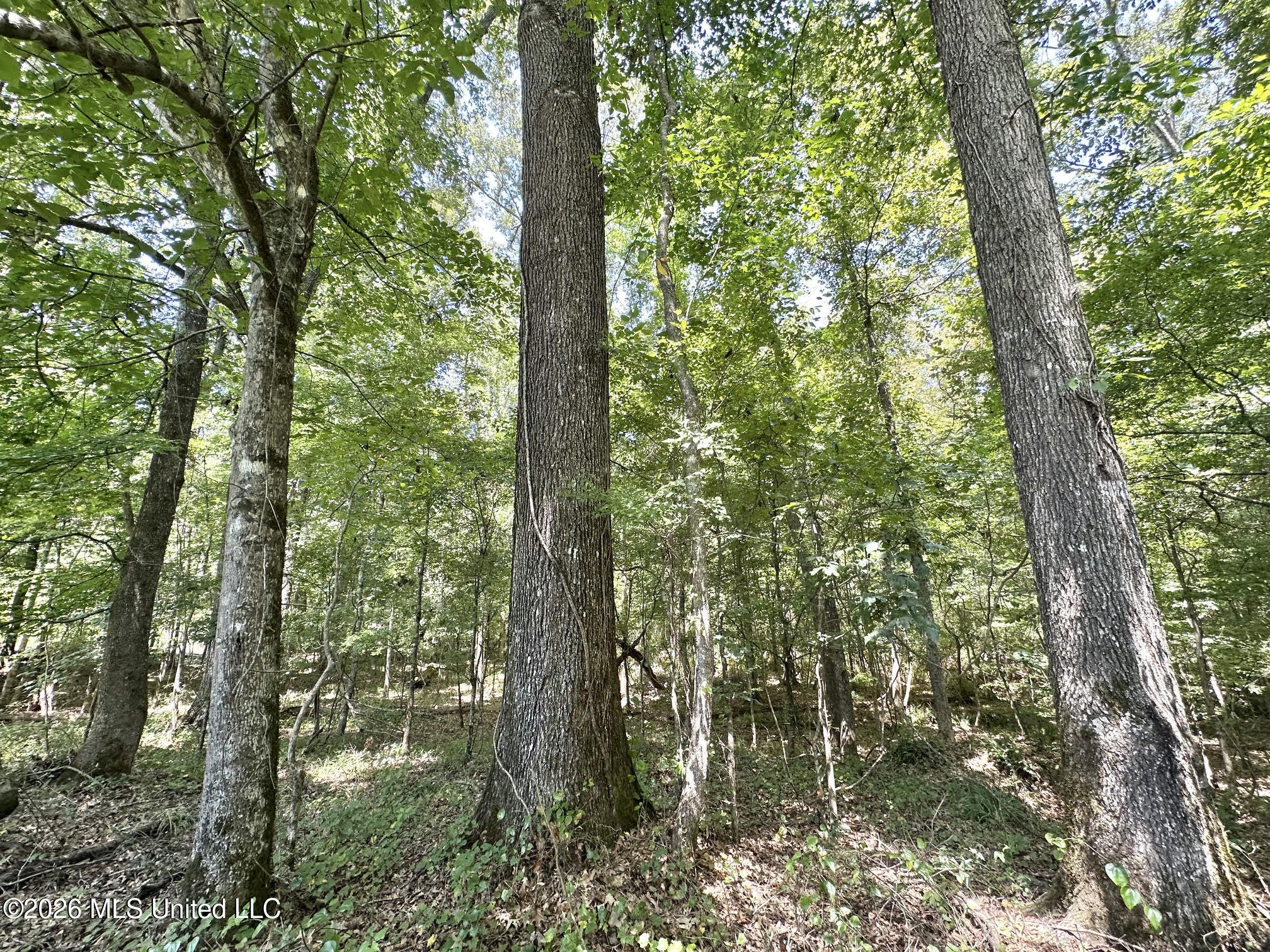 3 County Road 24 Property Photo 4