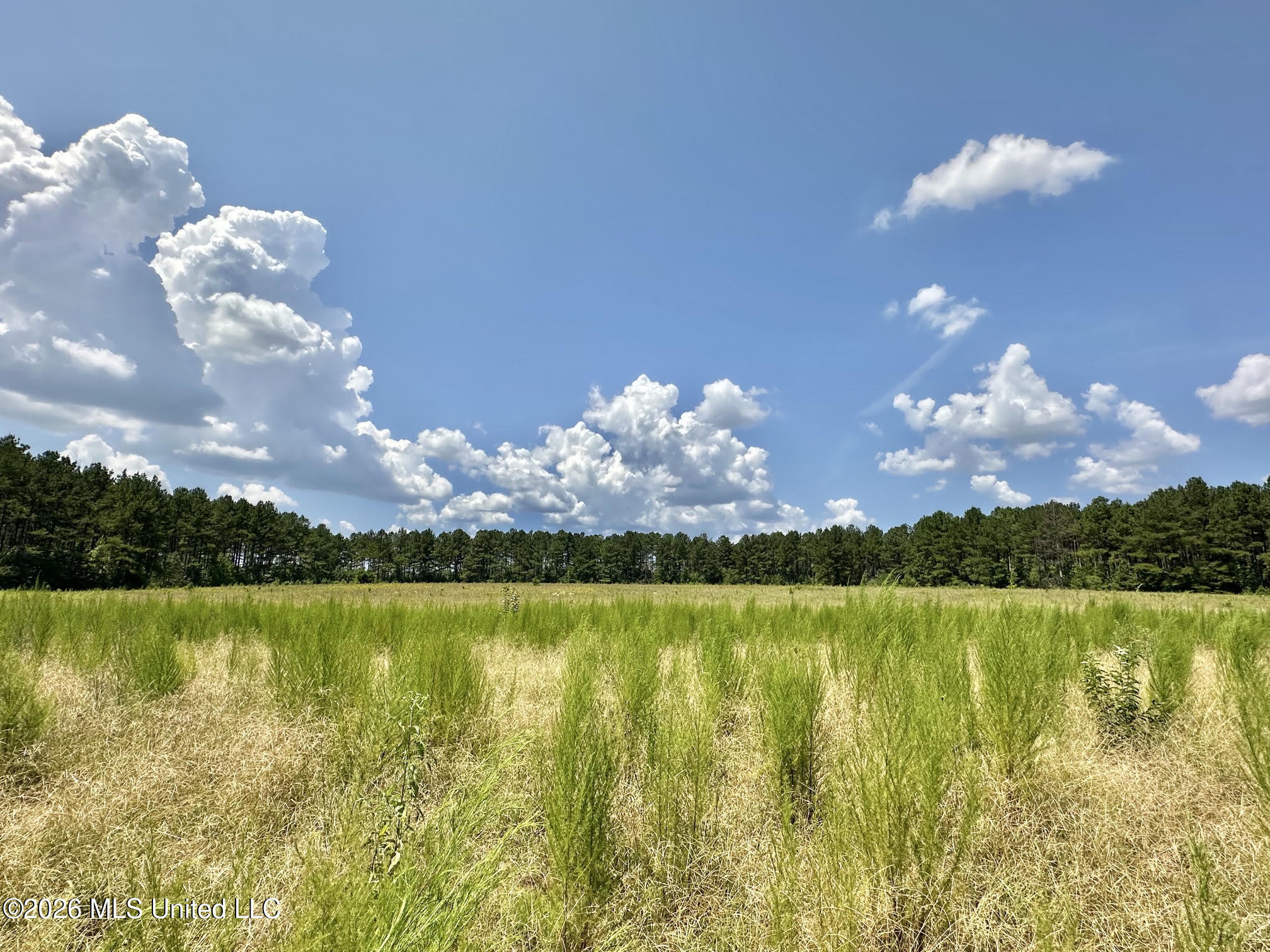 4 County Road 24 Property Photo 1