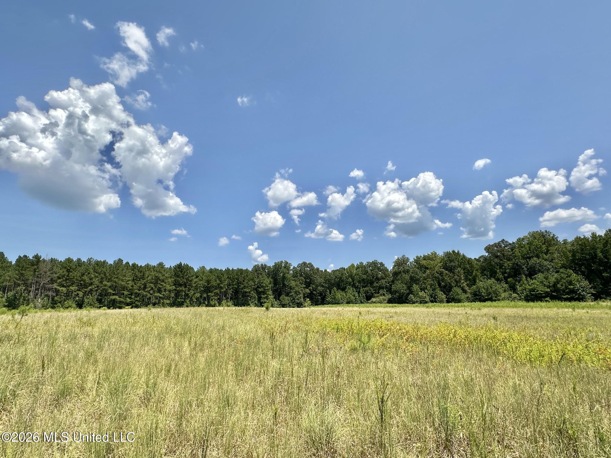 4 County Road 24 Property Photo 3