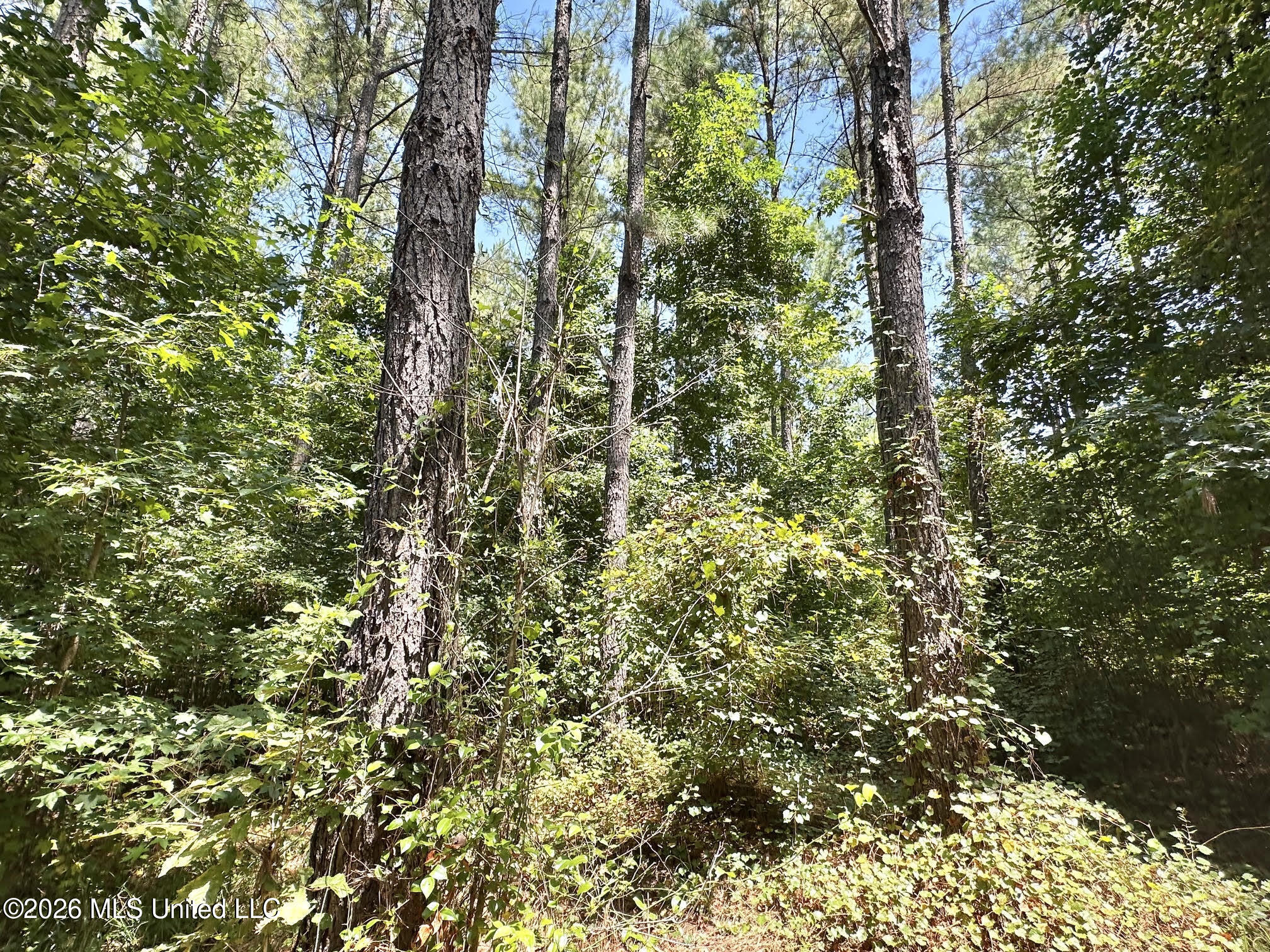 5 County Road 24 Property Photo 1