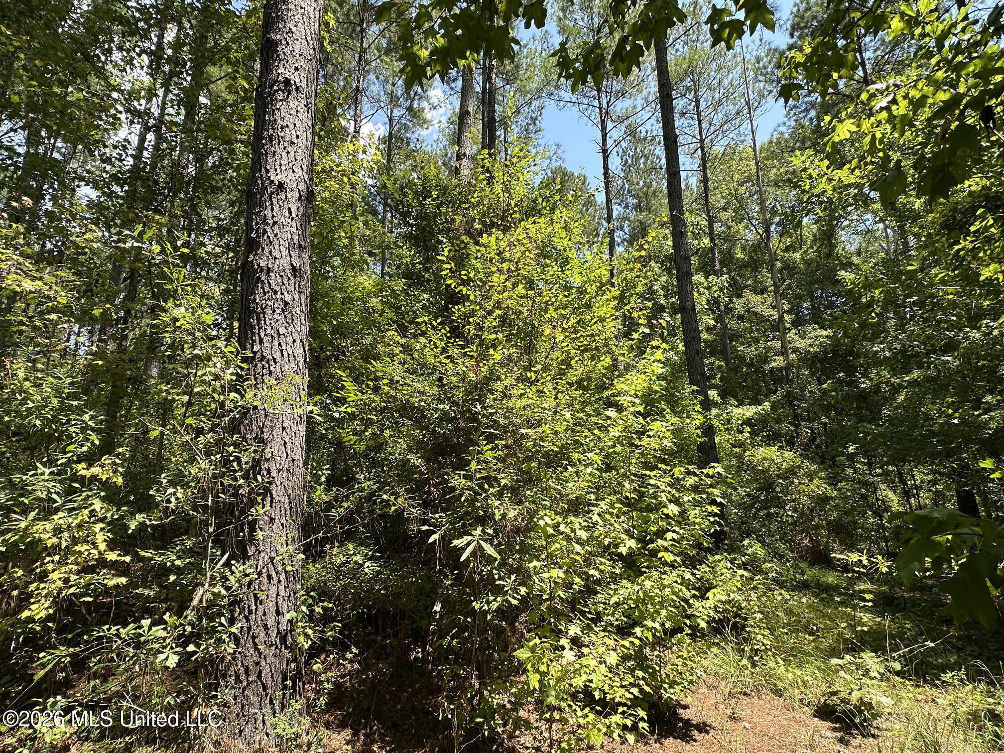 5 County Road 24 Property Photo 3
